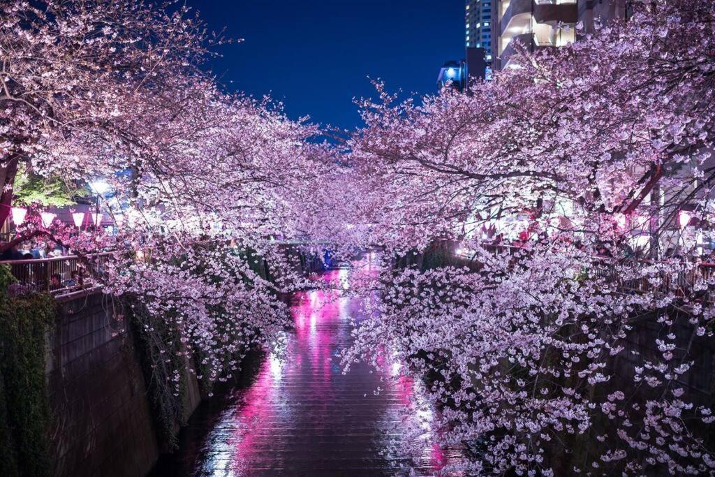 Tokyo's best spot Shibuya! 3person room Free Wi-Fi