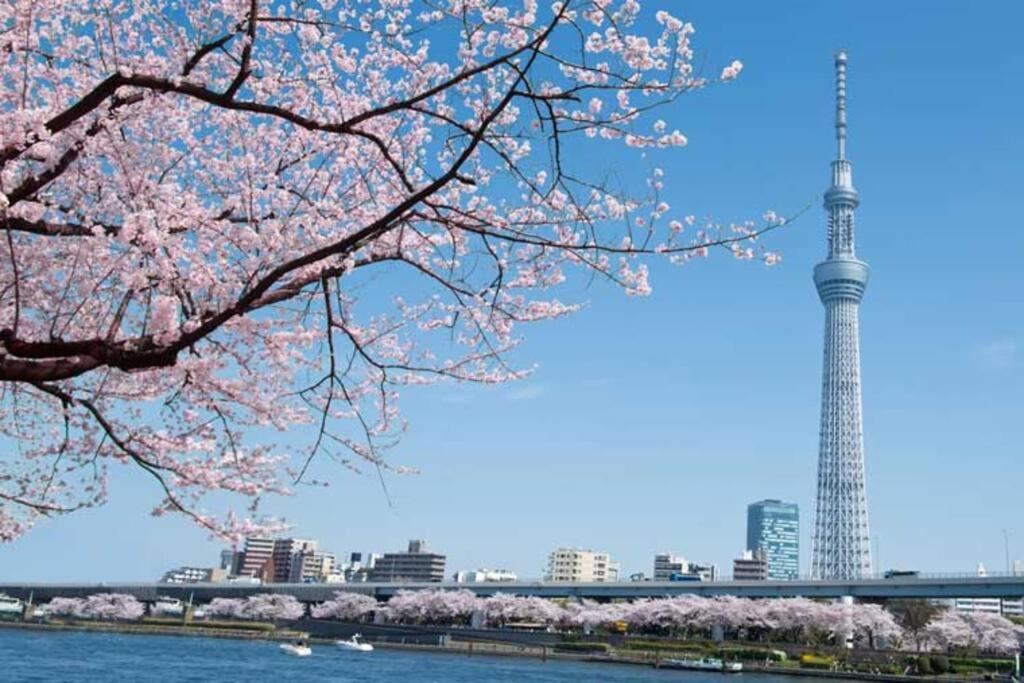 Tokyo's best spot Shibuya! 3person room Free Wi-Fi