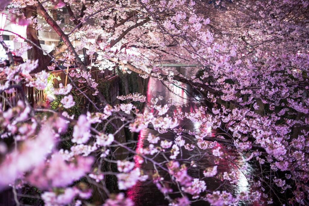 Tokyo's best spot Shibuya! 3person room Free Wi-Fi
