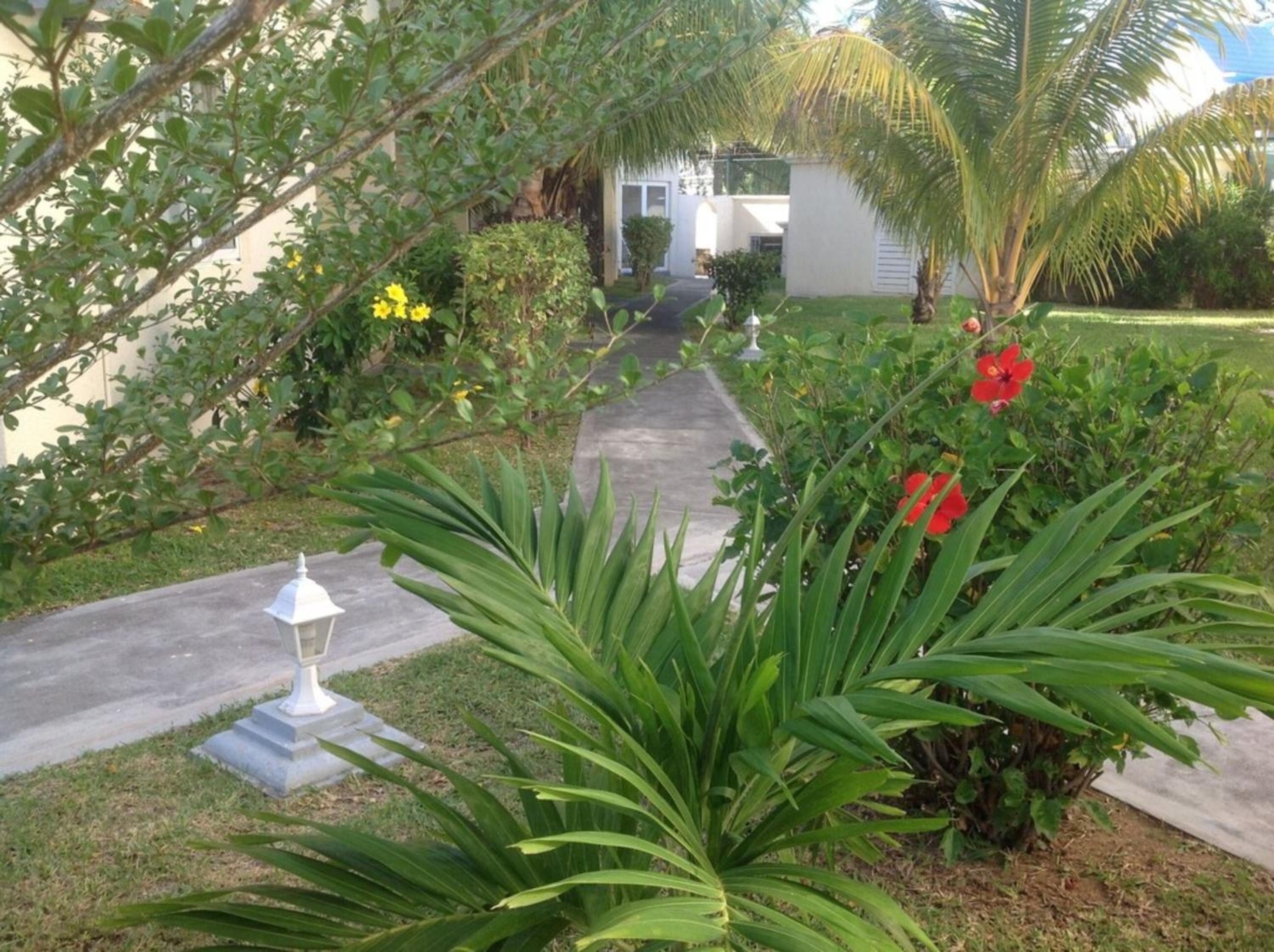 Photo 33