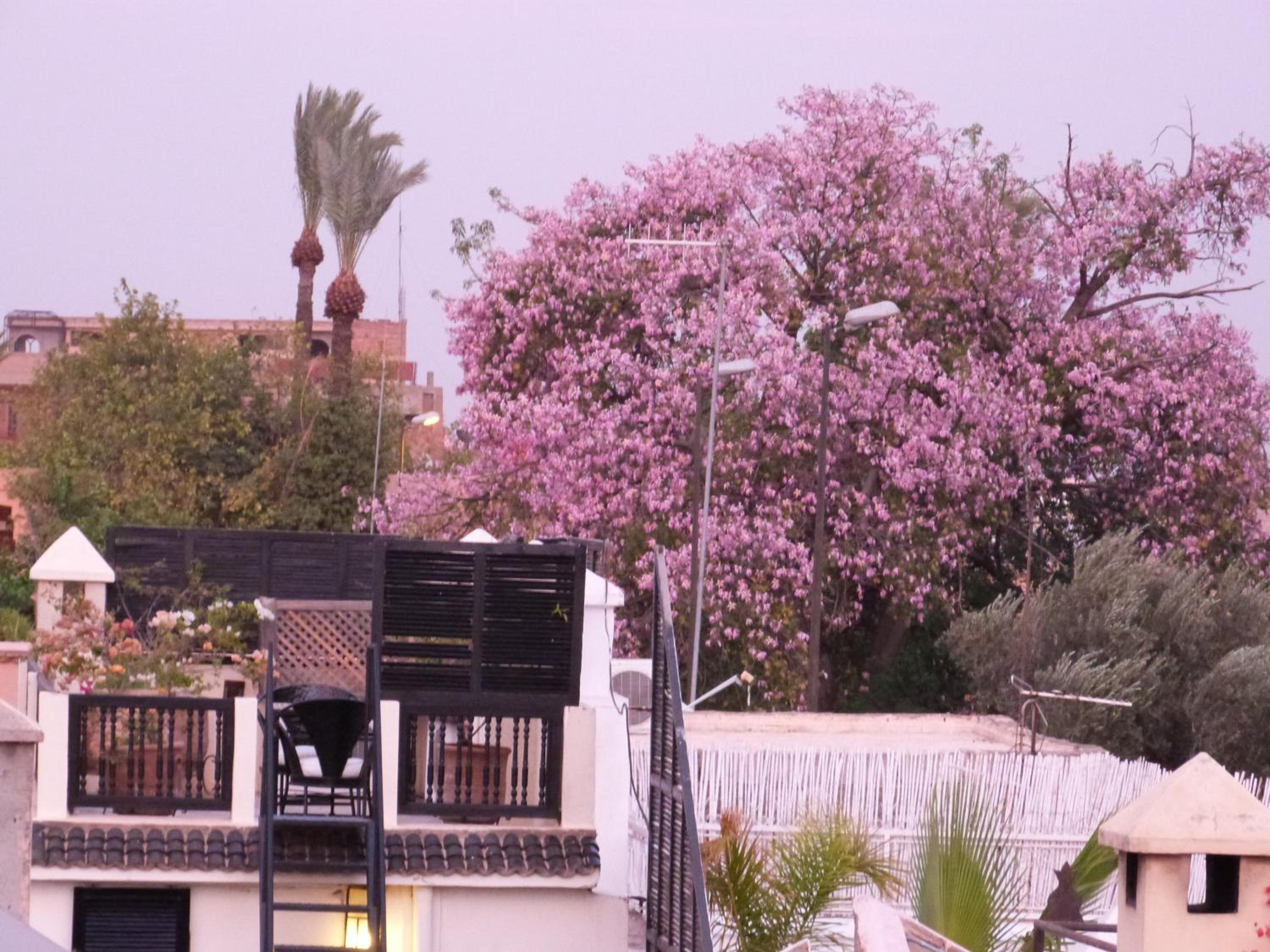 Riad Manissa