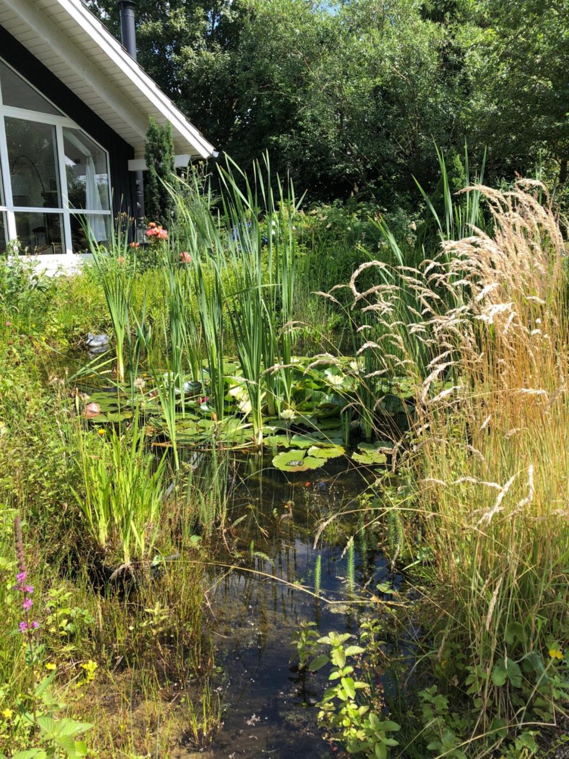 Ferienhaus Gartenblick am Schaalsee