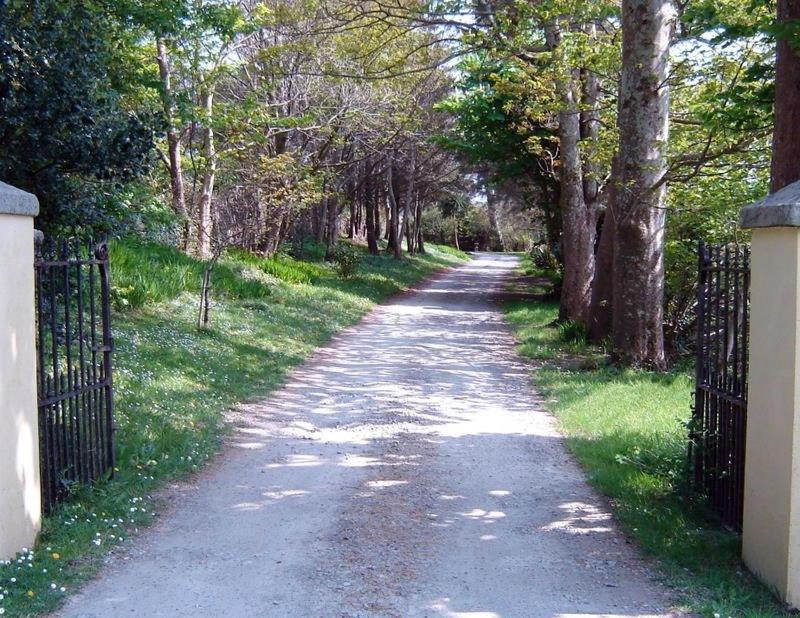 Photo 43