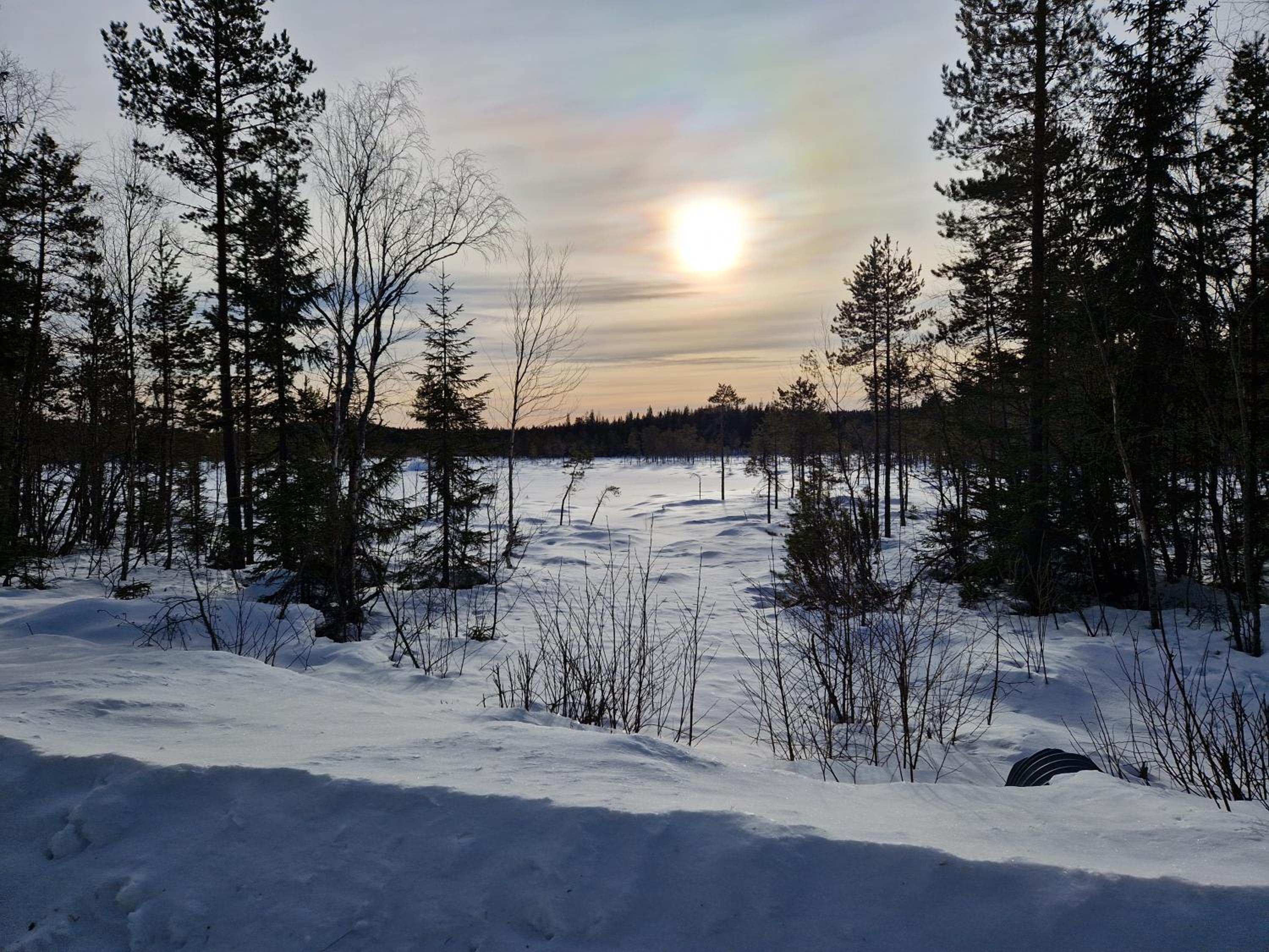 Photo 46