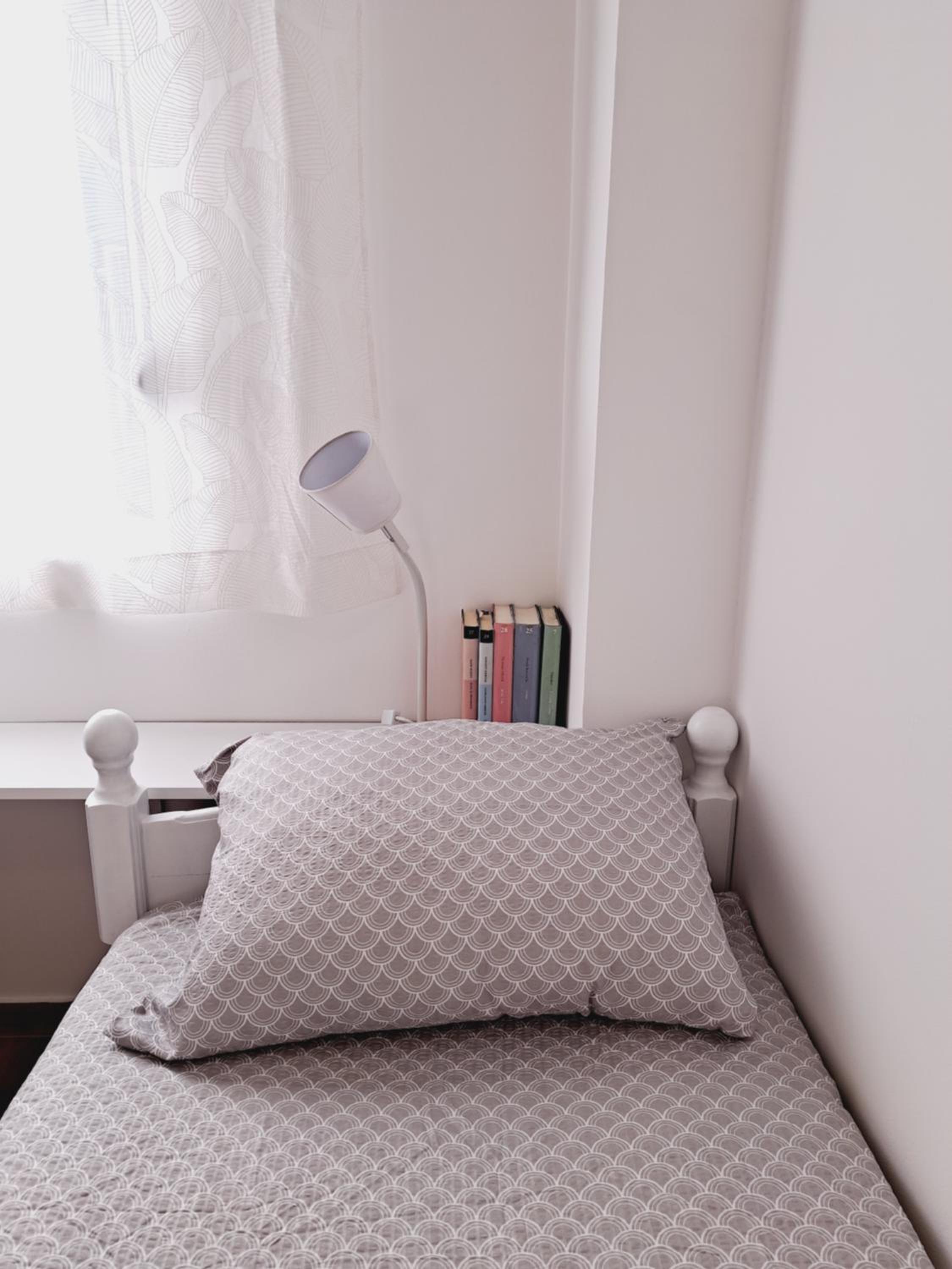 Paun apartment