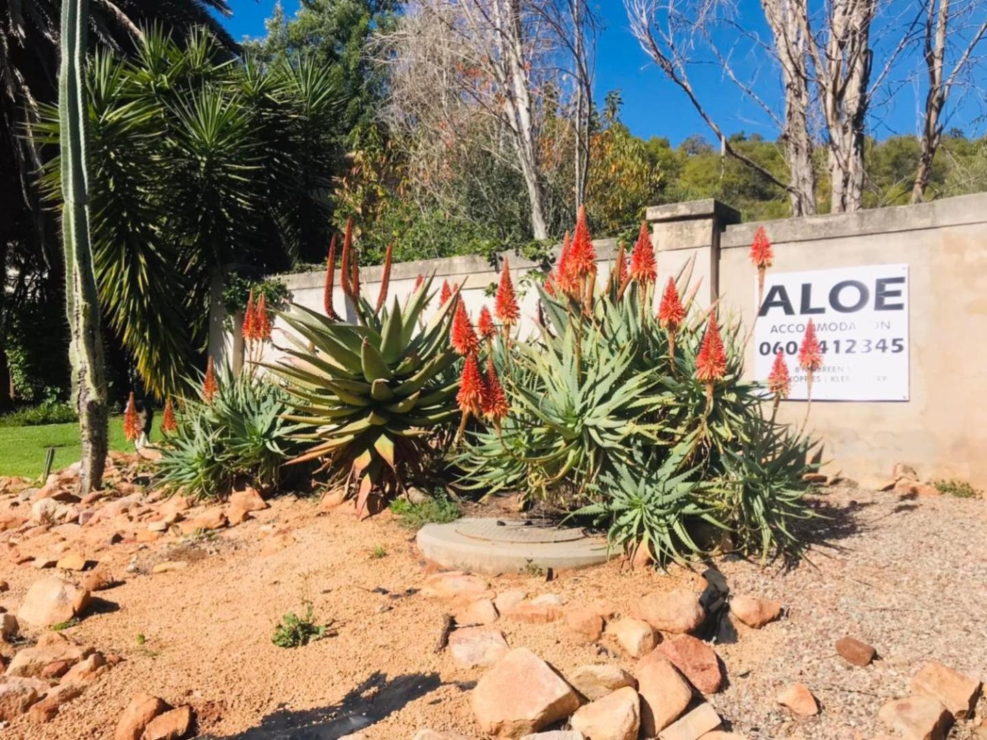 Aloe Guesthouse Klerksdorp