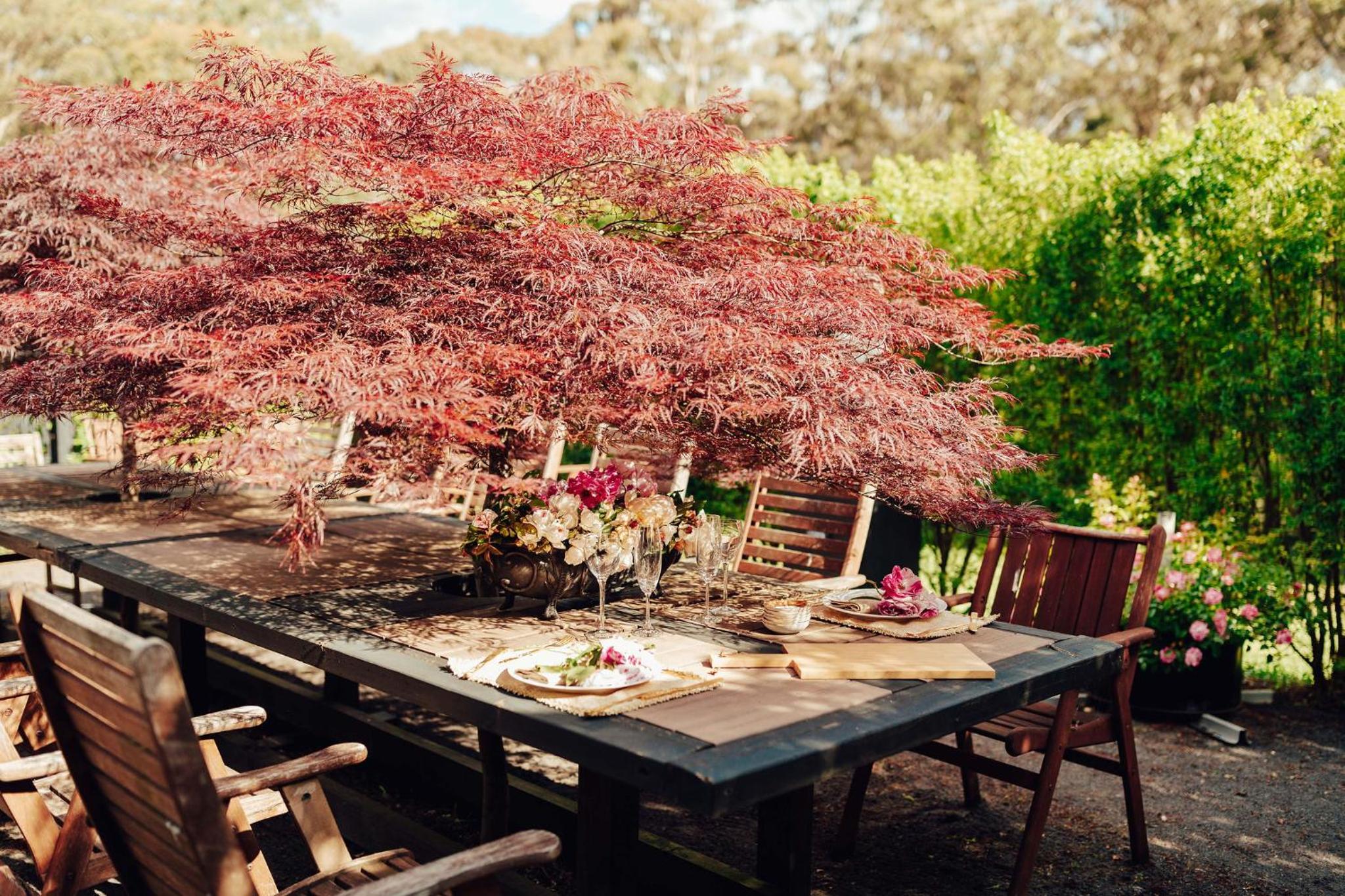 17pounds Country Estate & Aqua Wellness Retreat