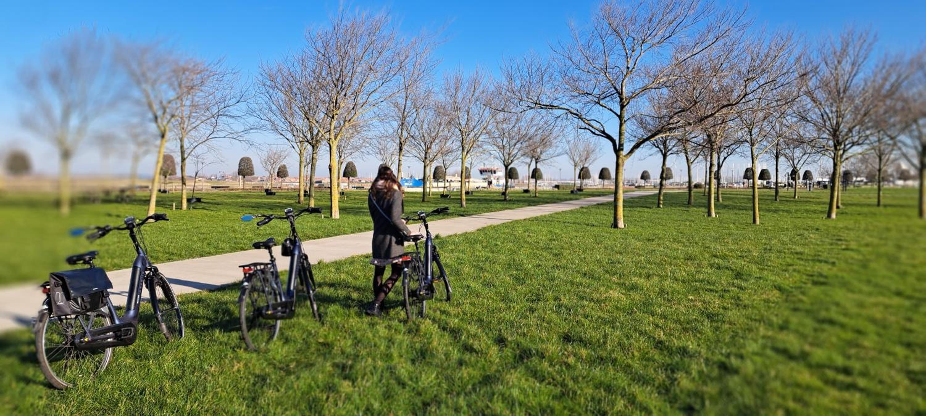 The Newport Lodge included 3h PRIVATE indoor welnes & use e-bikes