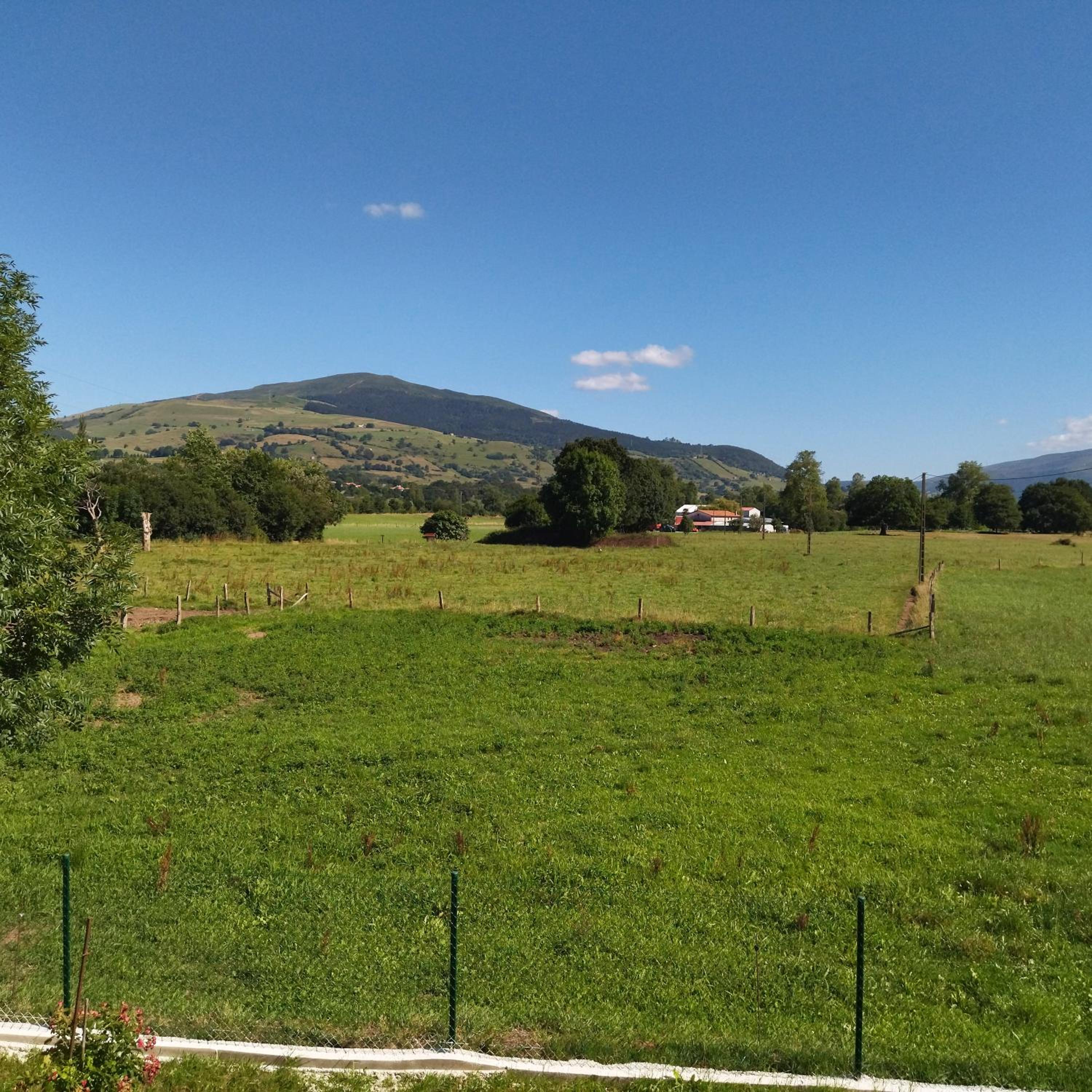 Photo 46