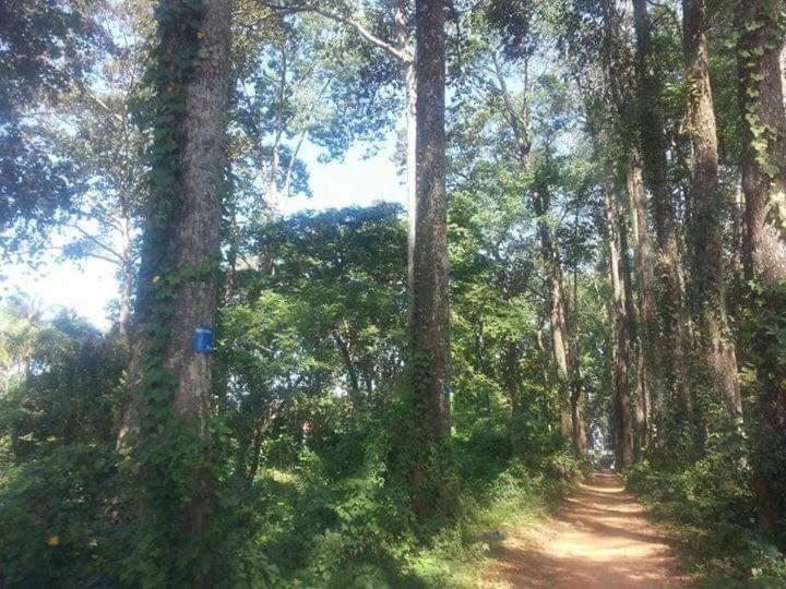 Tonle Mekong Homestay