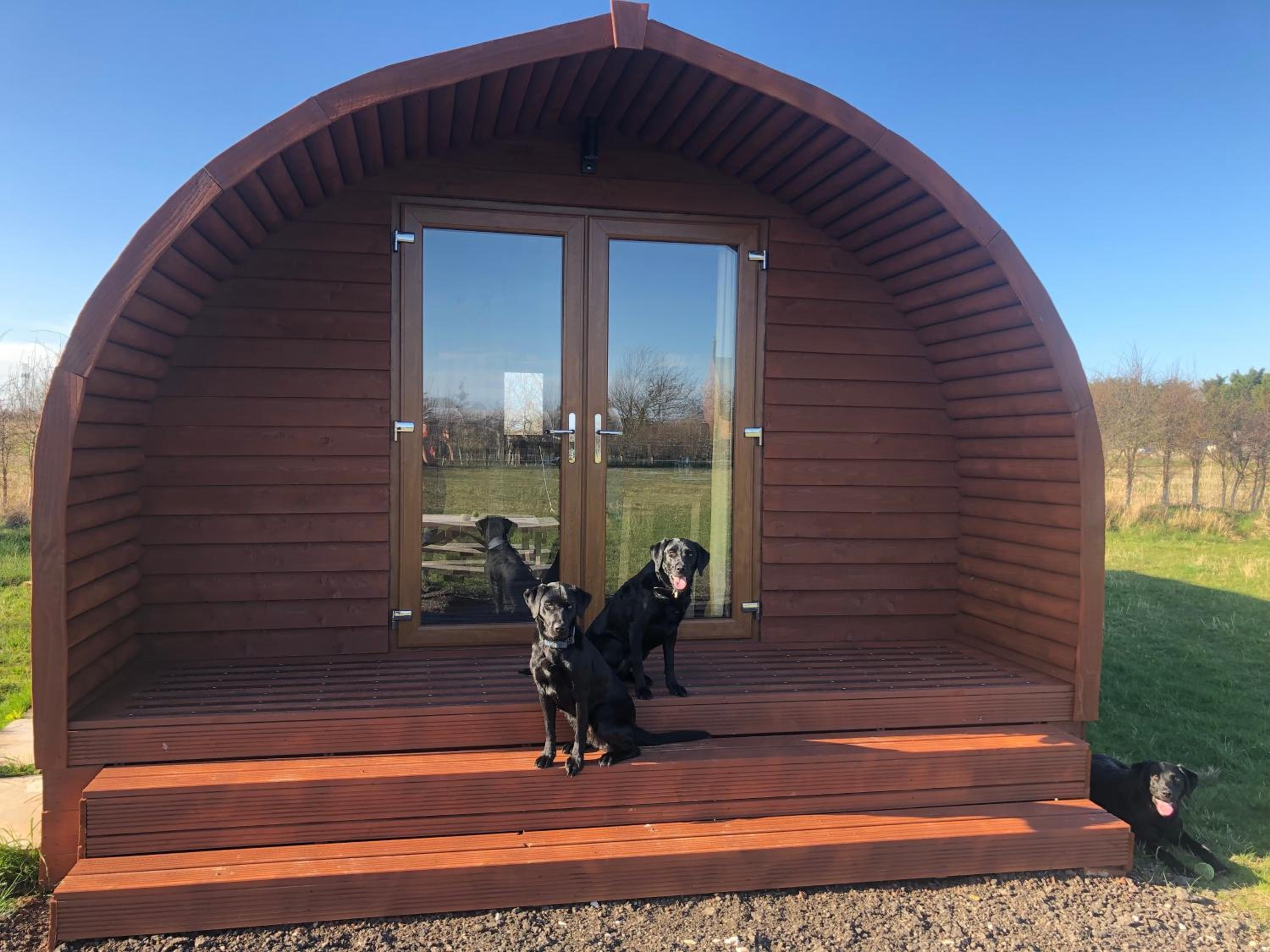 Manor Farm Stay