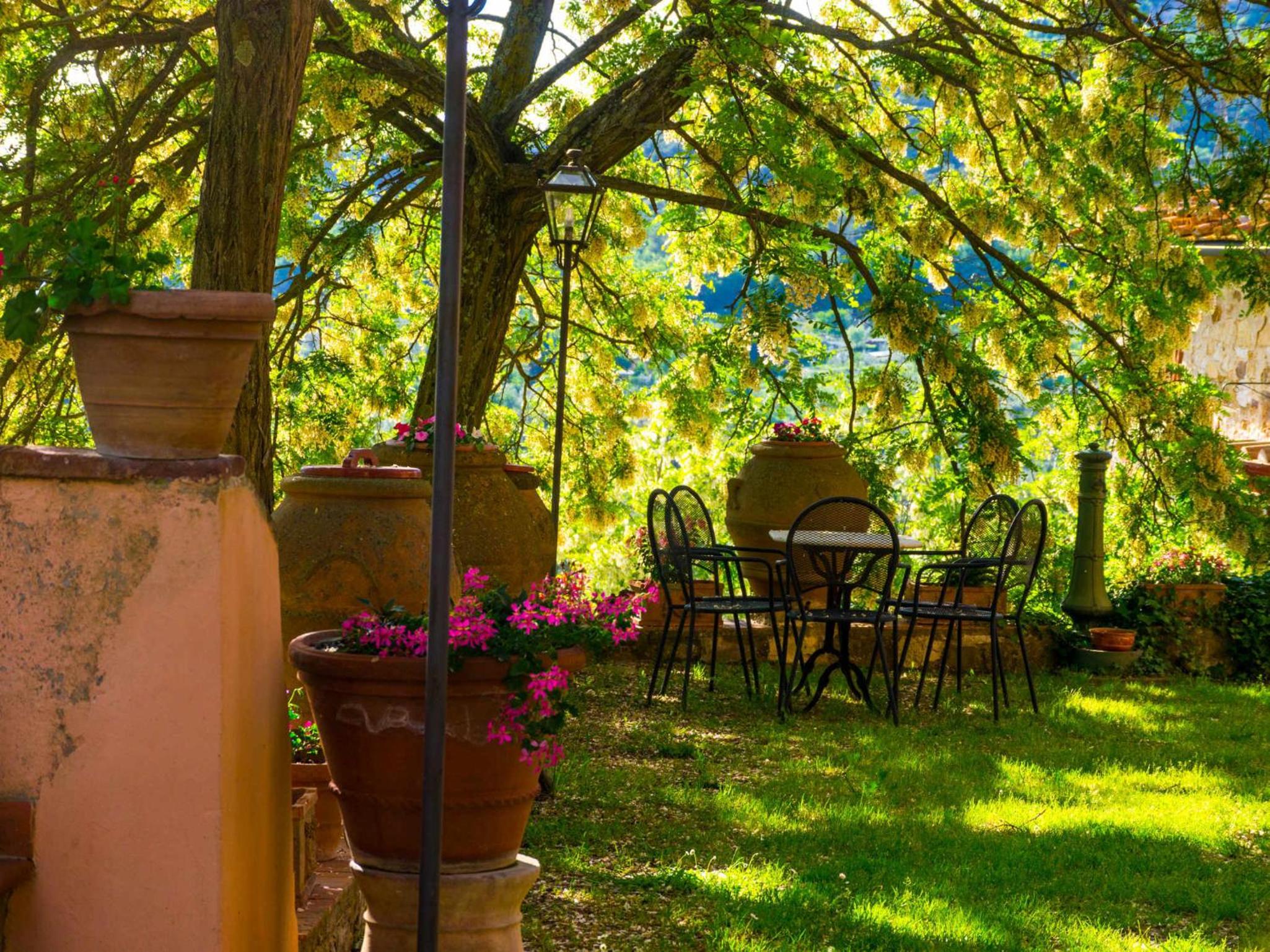 Agriturismo Verde Oliva view 3