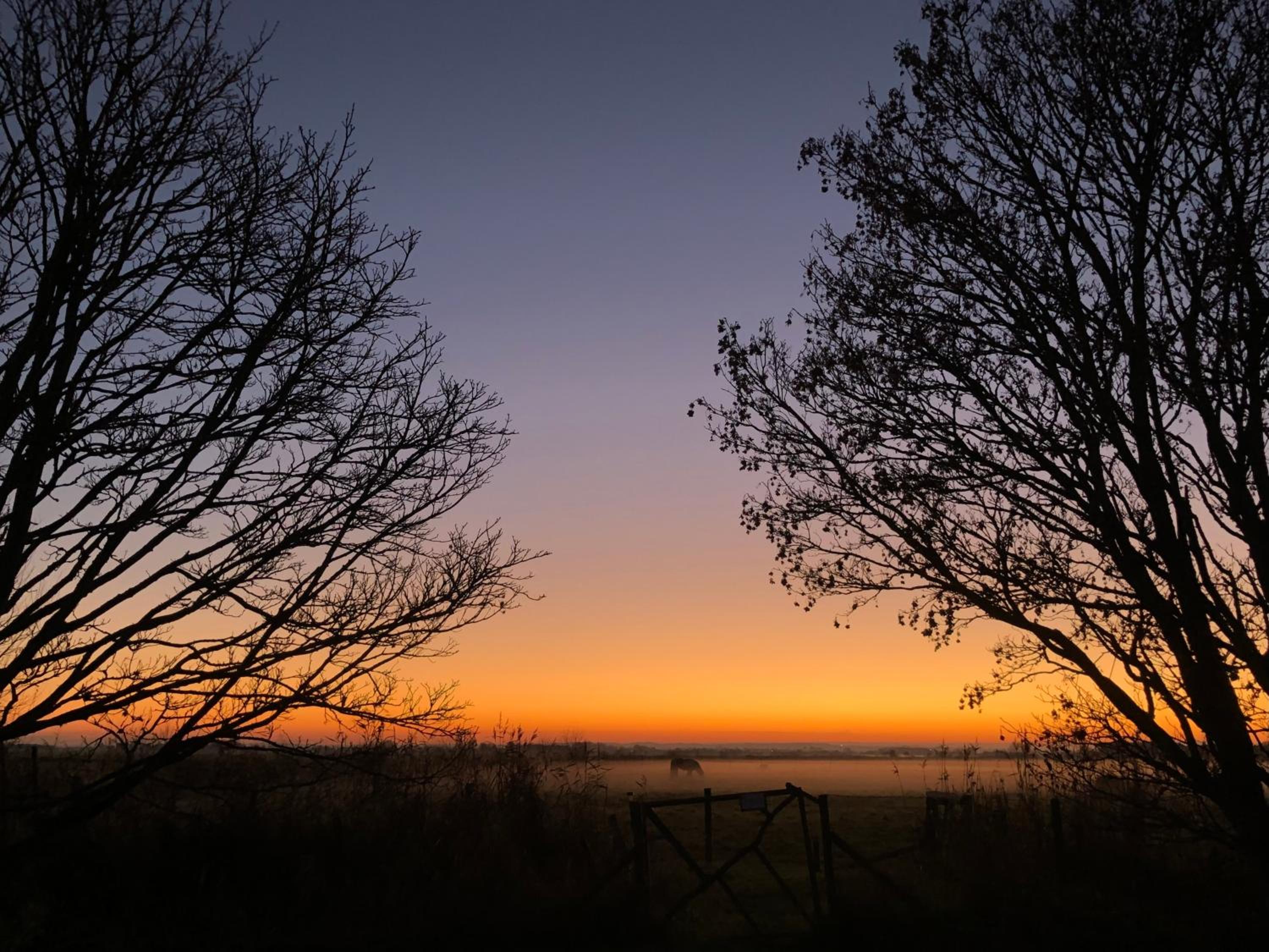 Manor Farm Stay