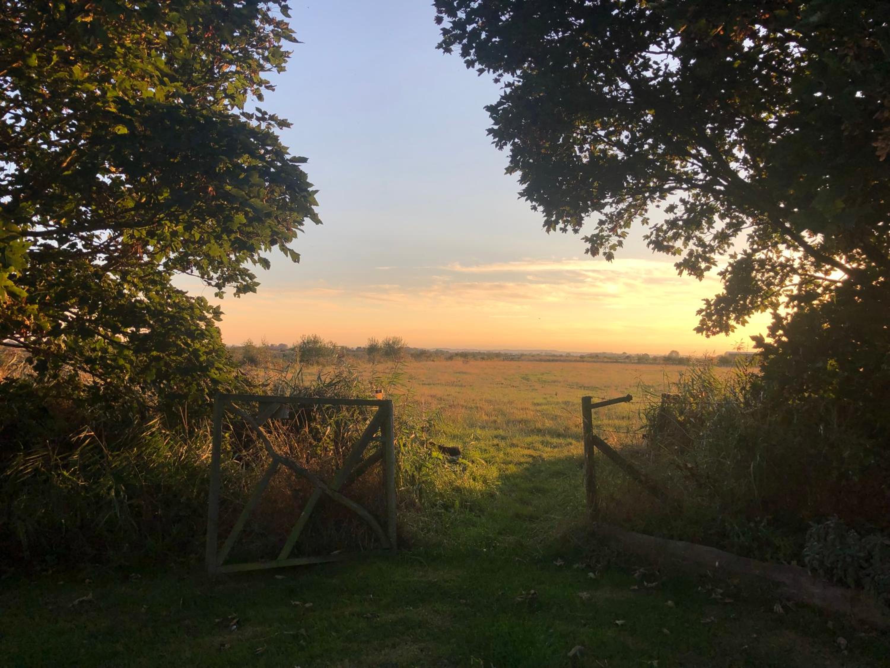 Manor Farm Stay