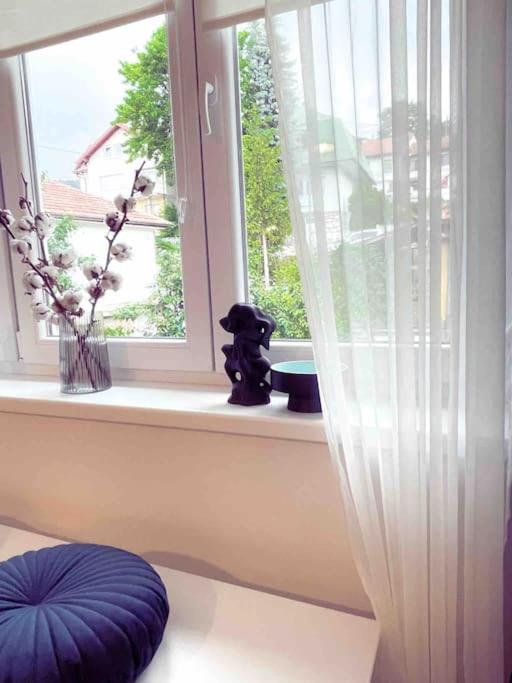 Modern *OLD TOWN* Sarajevo Apartment