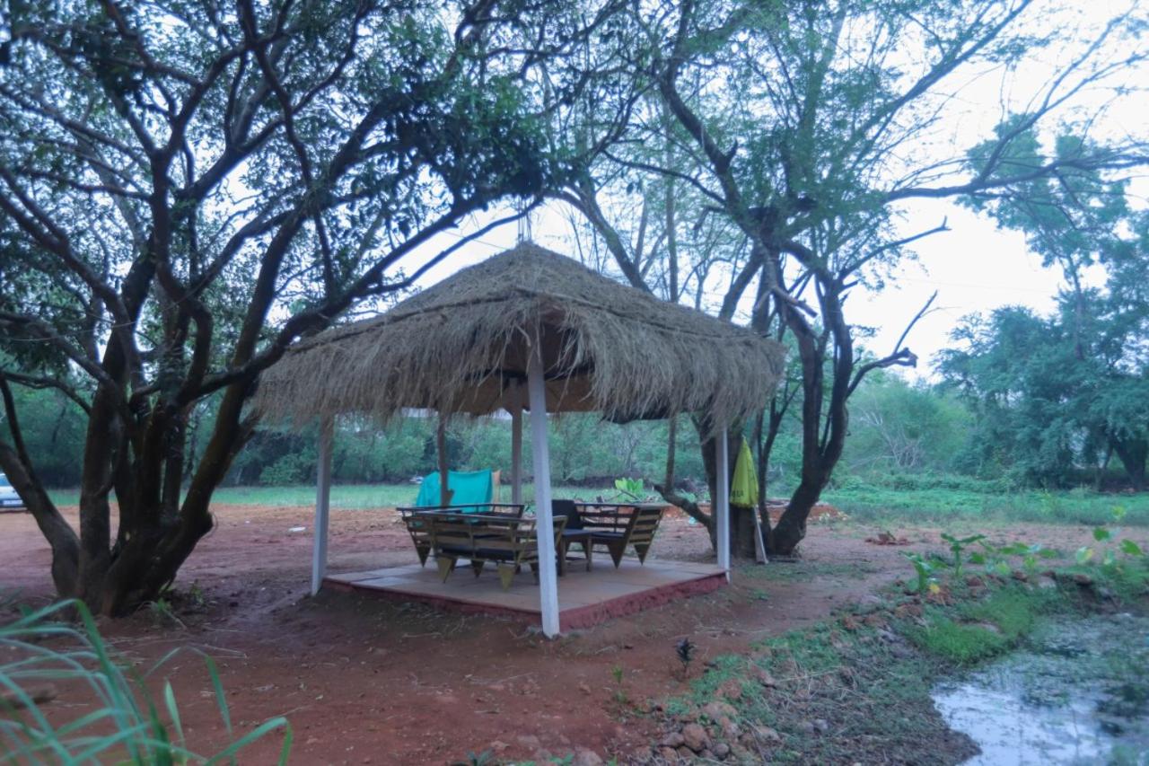 Beach Groove Cottage