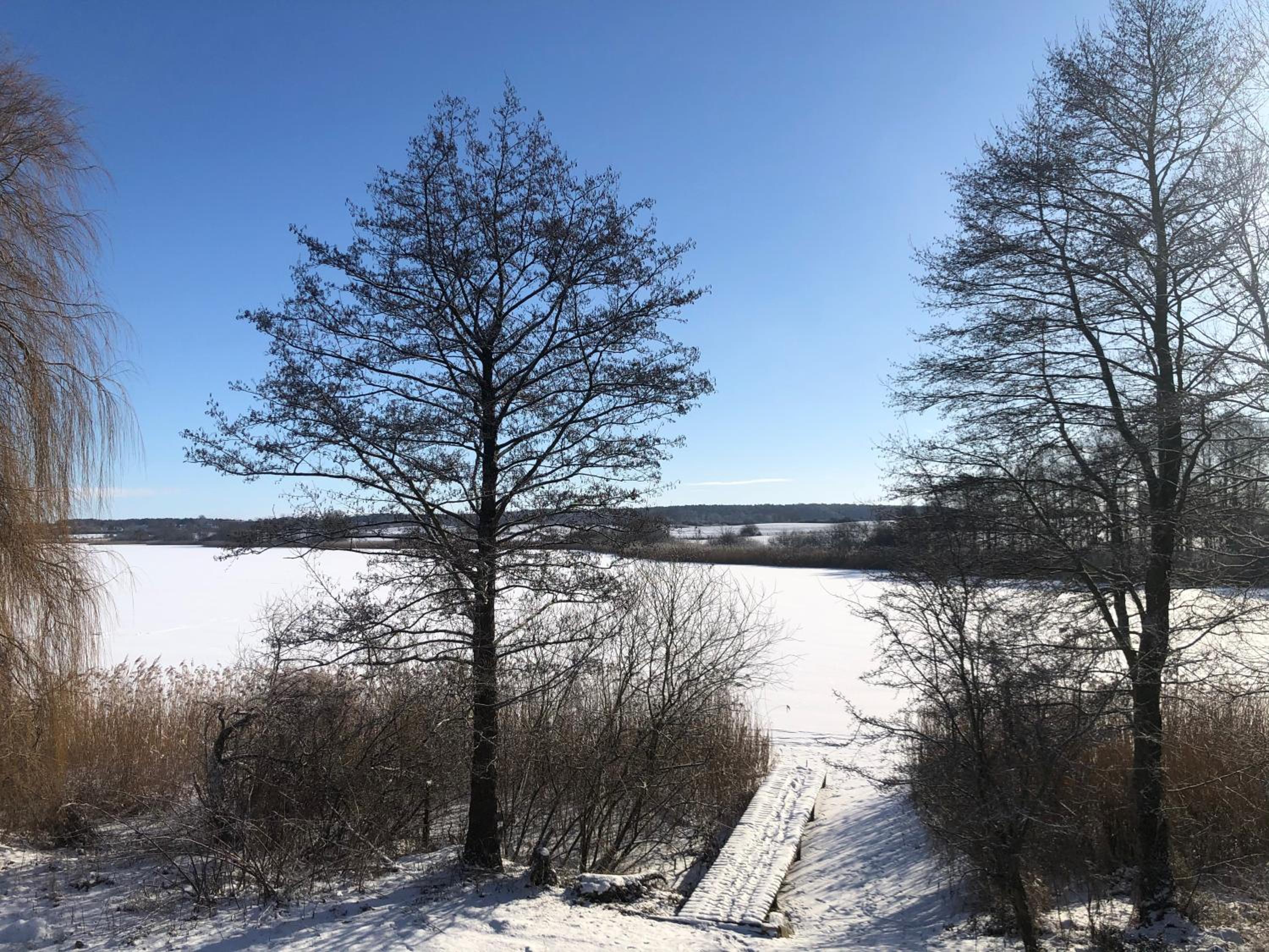 Haus am See mit Steg, Boot, Kamin und Sauna - Mecklenburgische Seenplatte