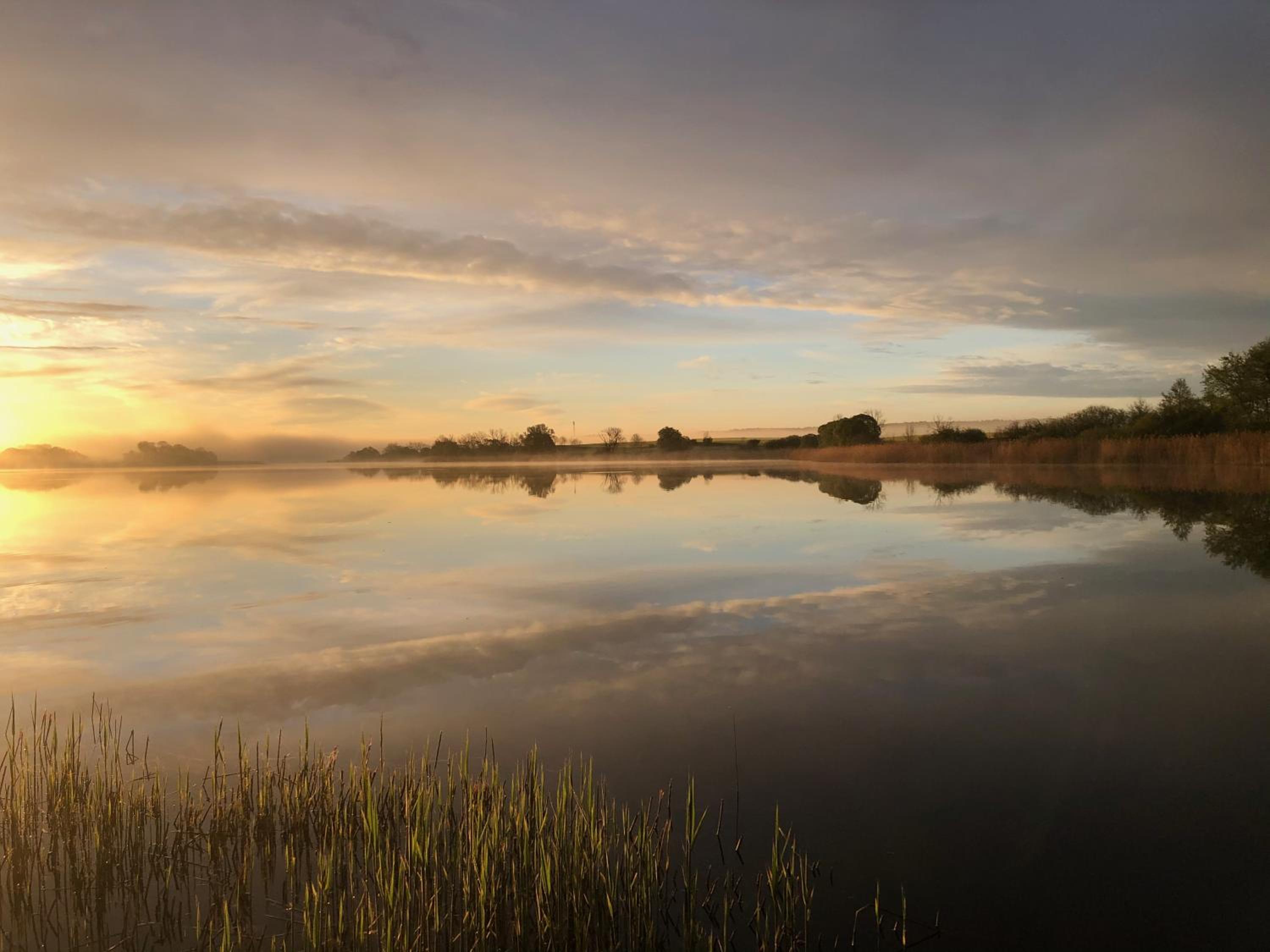 Haus am See mit Steg, Boot, Kamin und Sauna - Mecklenburgische Seenplatte