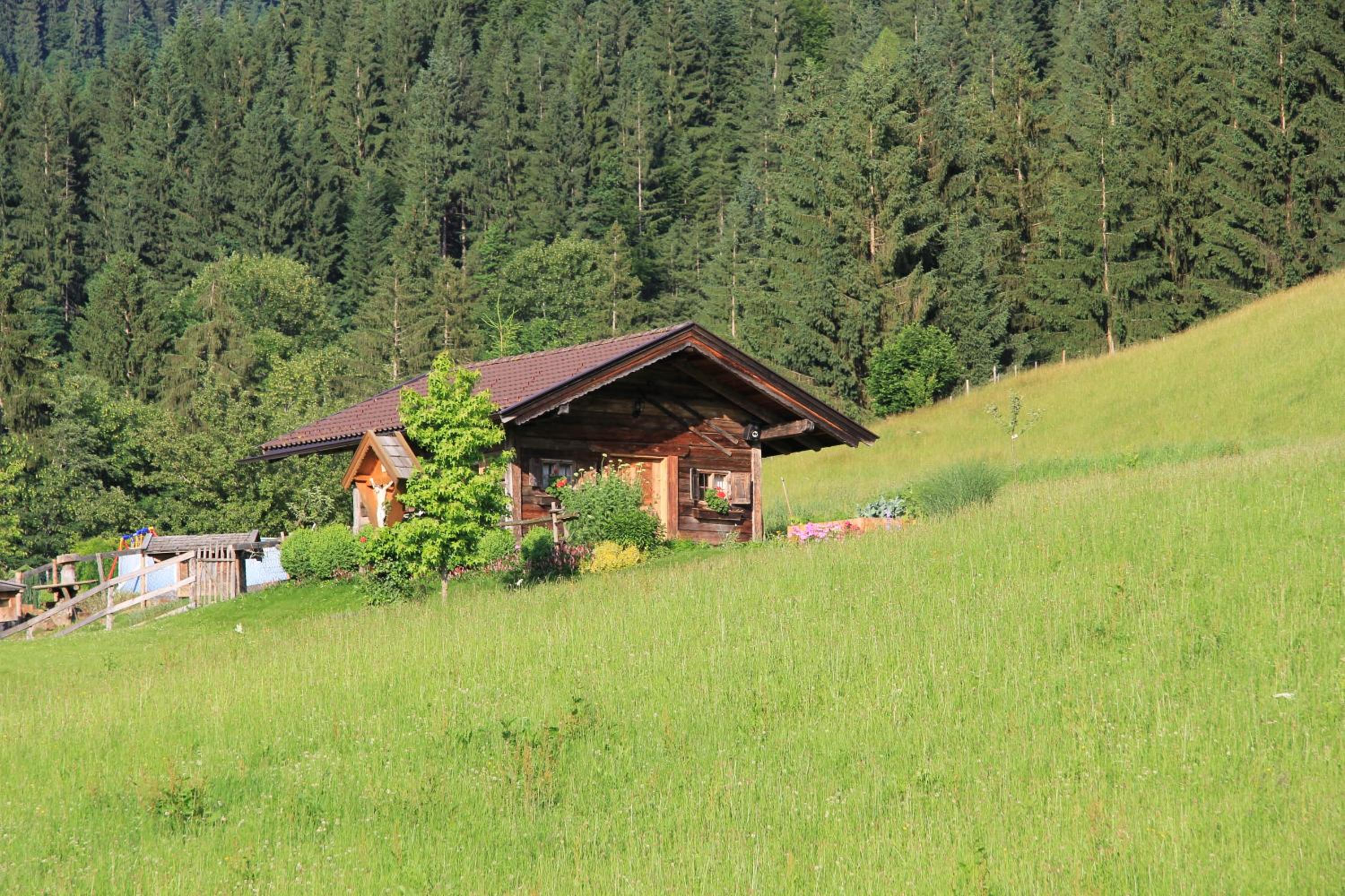 Appartements Grünholz