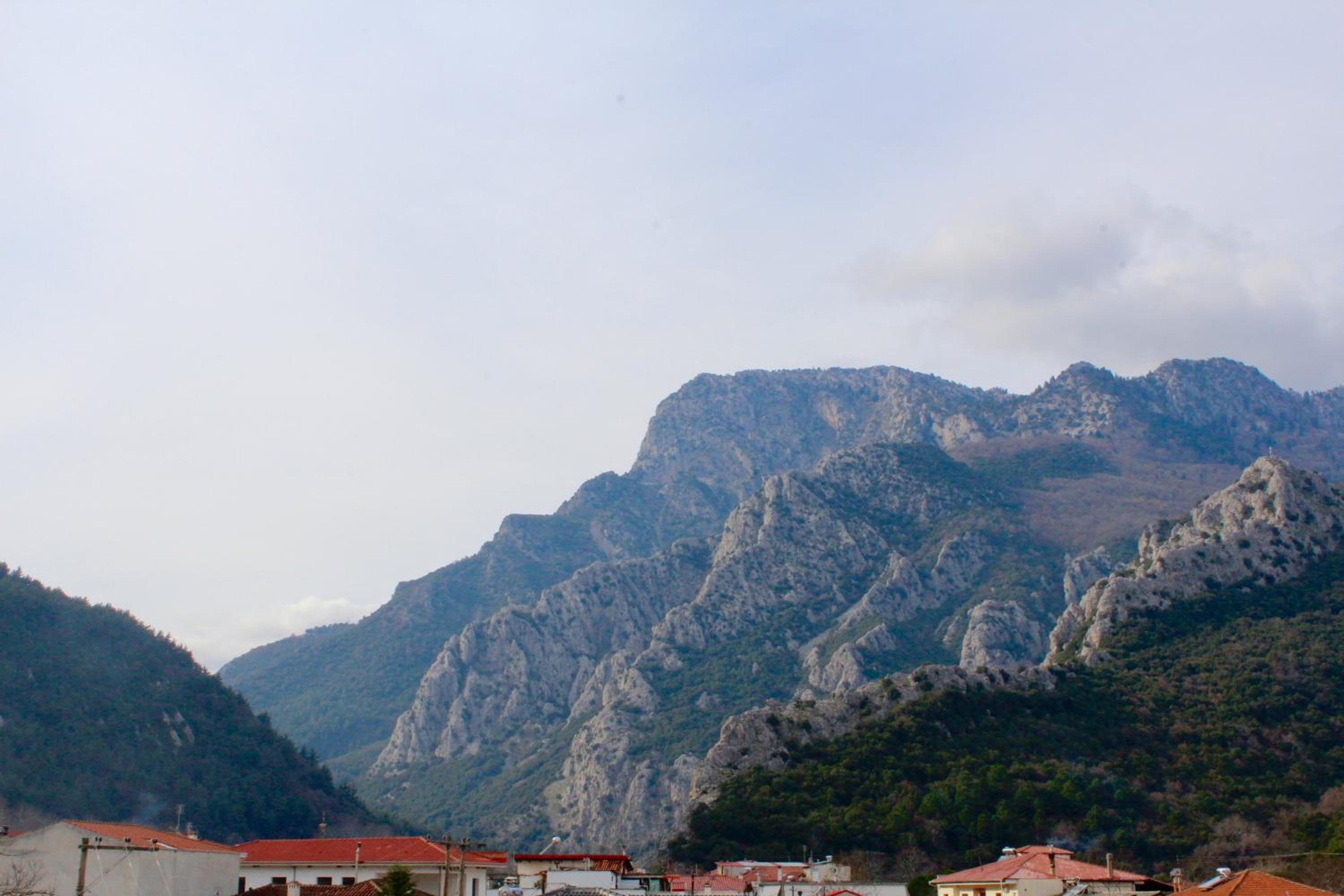 Guesthouse Alexandros photo 5