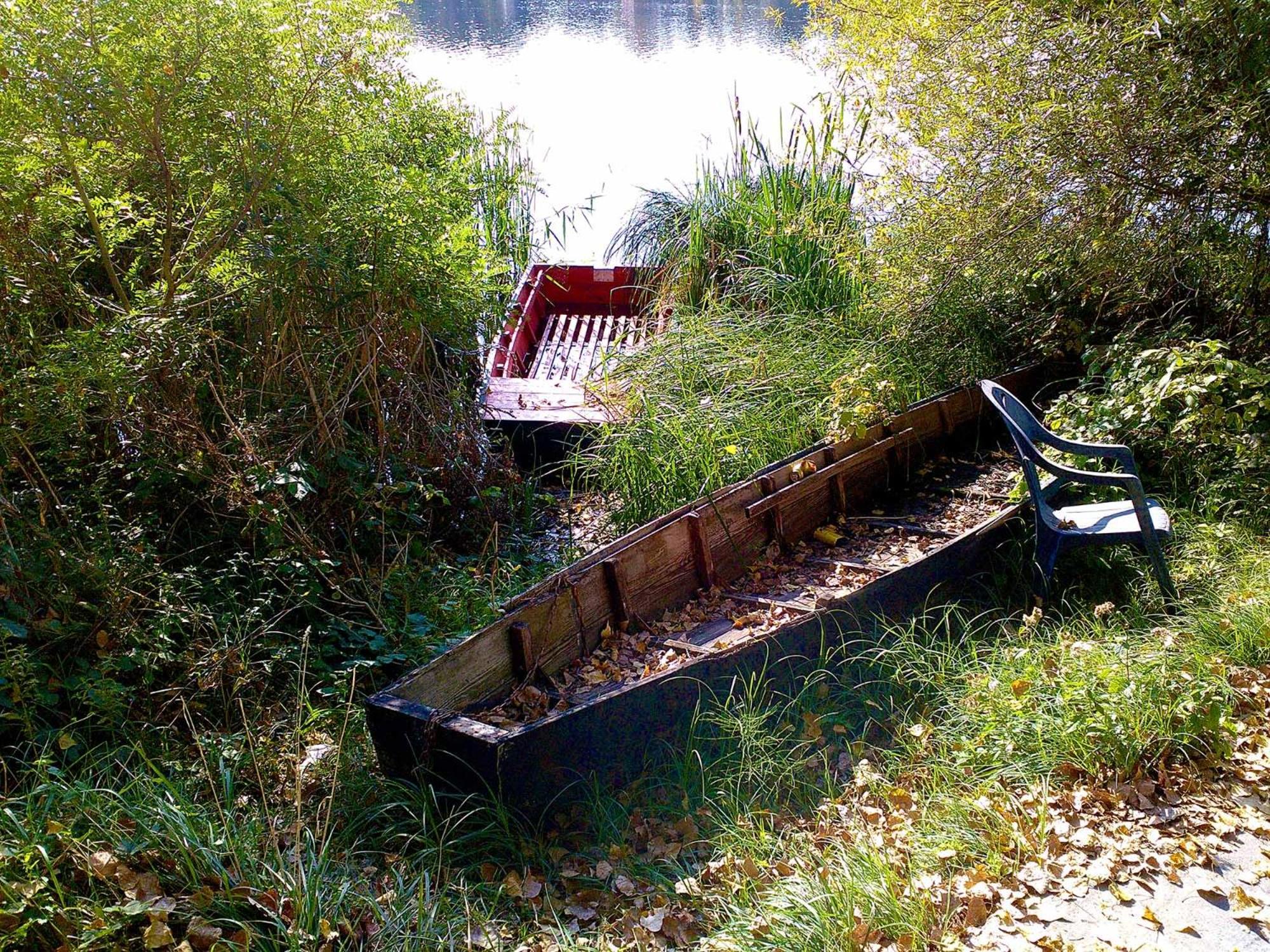 Photo 19