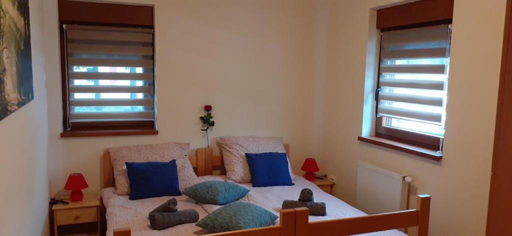 Apartman Vigo,Fužine