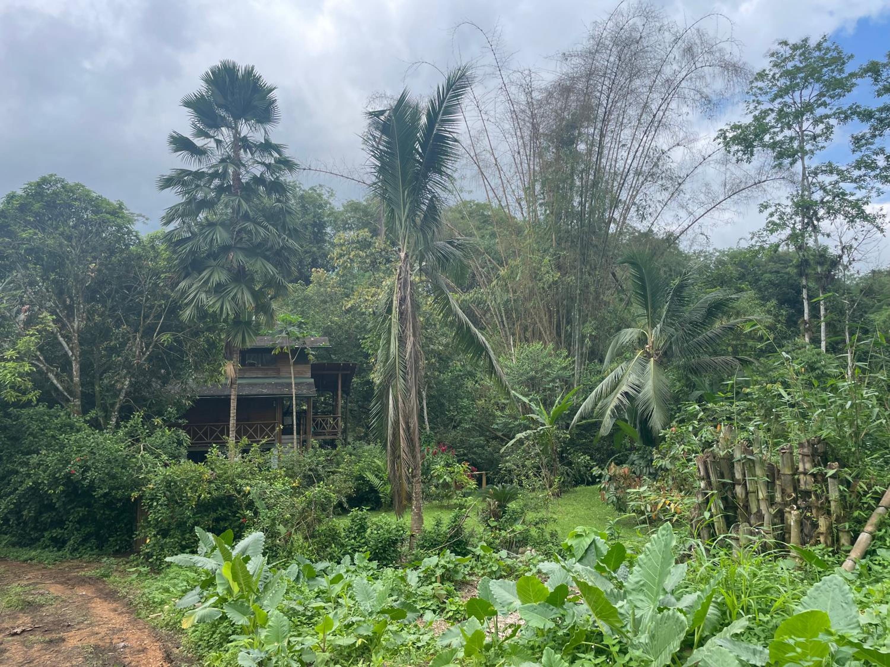 Caoni riverside Lodge