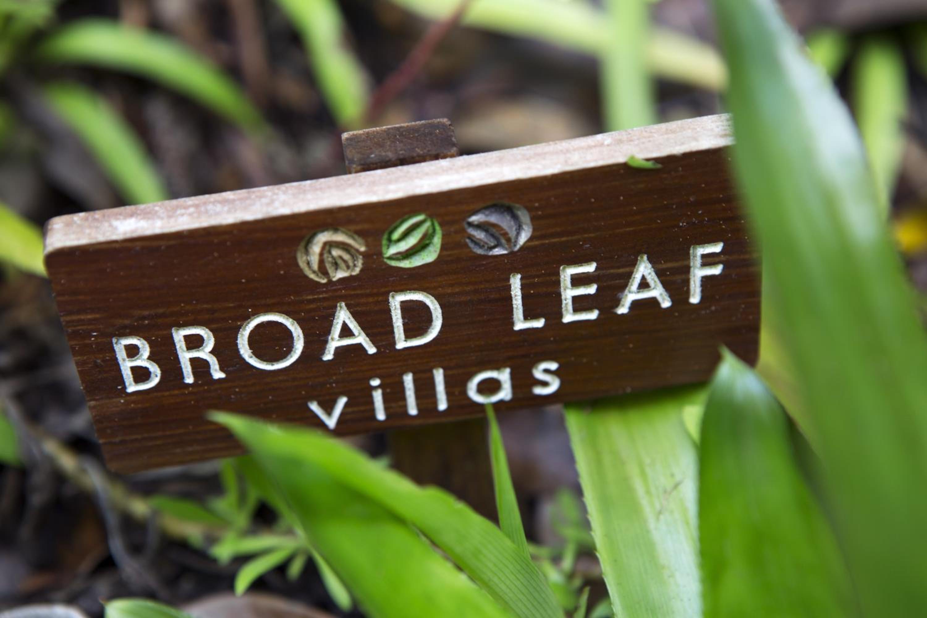 Broad Leaf Villas, photo 11