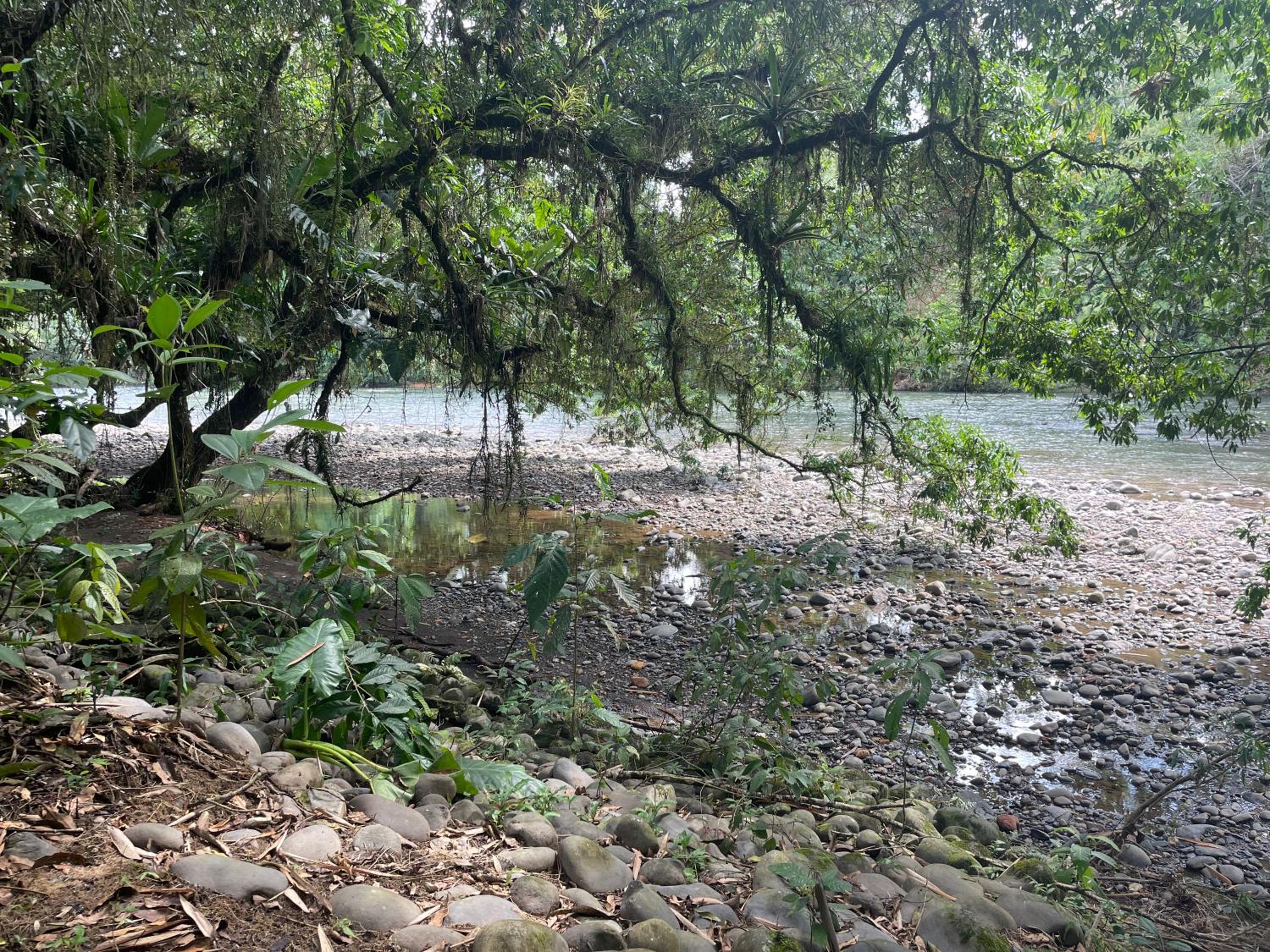 Caoni riverside Lodge