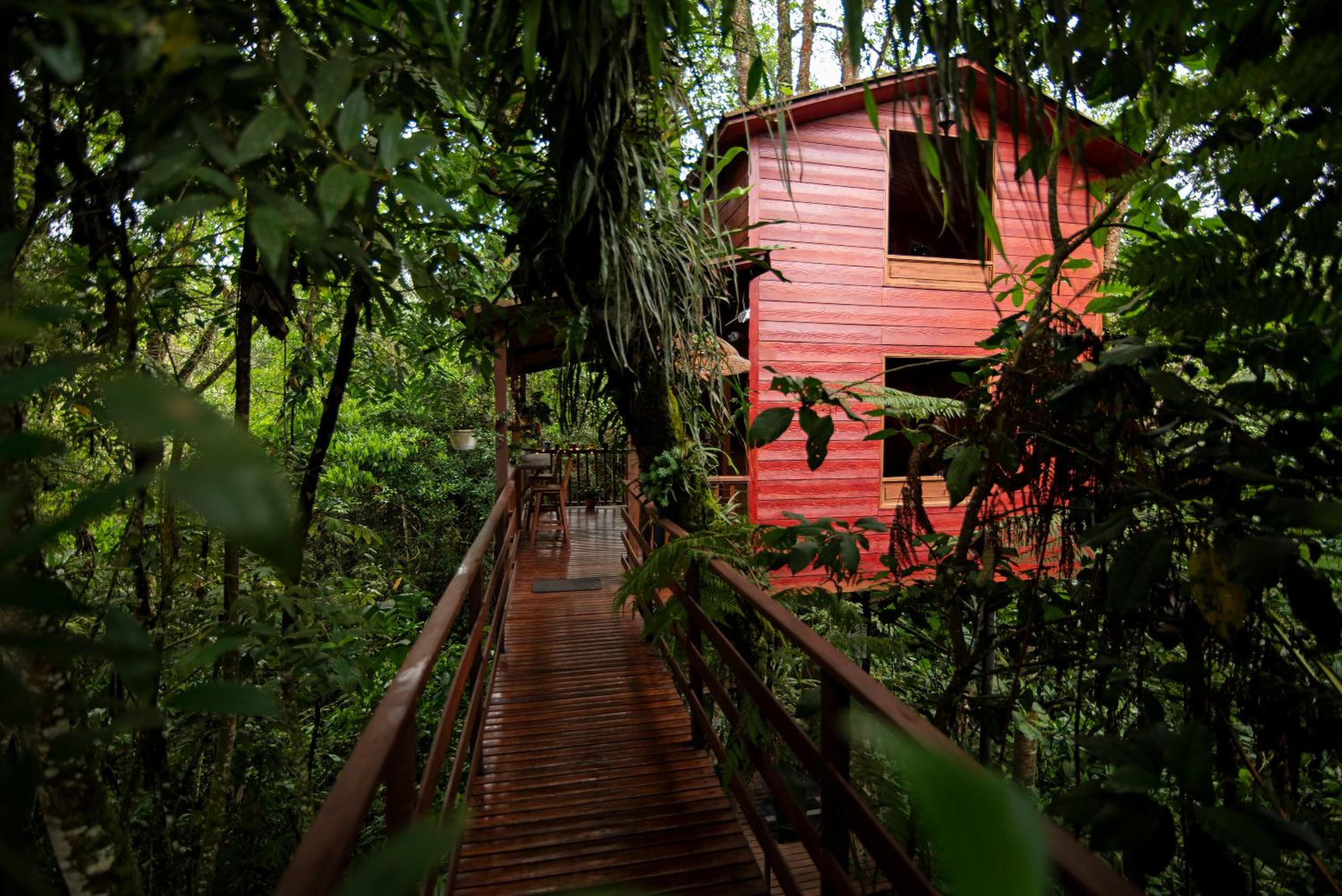 Tominejo Ecolodge - Casas en los árboles