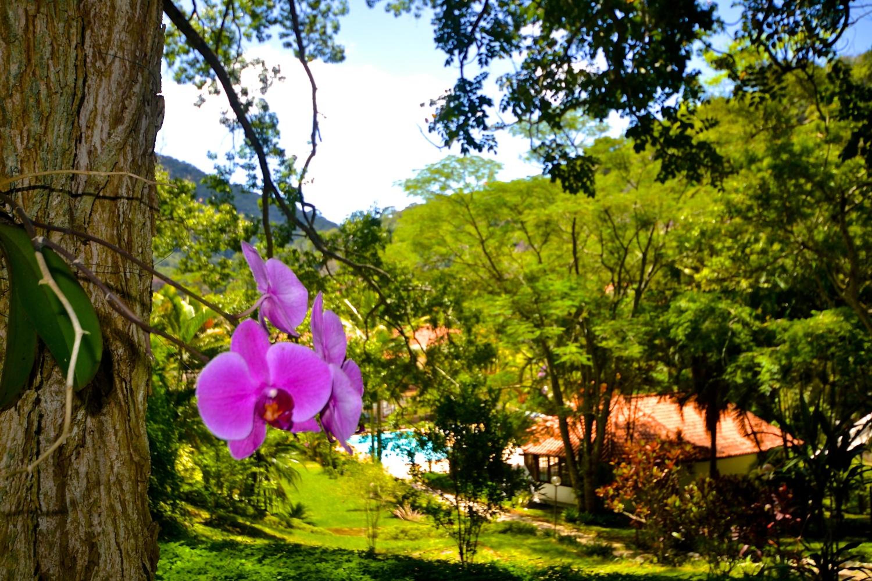 Vila da Sol Itaipava casas e estúdios