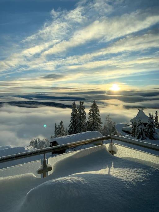 Cosy apartment with ski in/out view 4