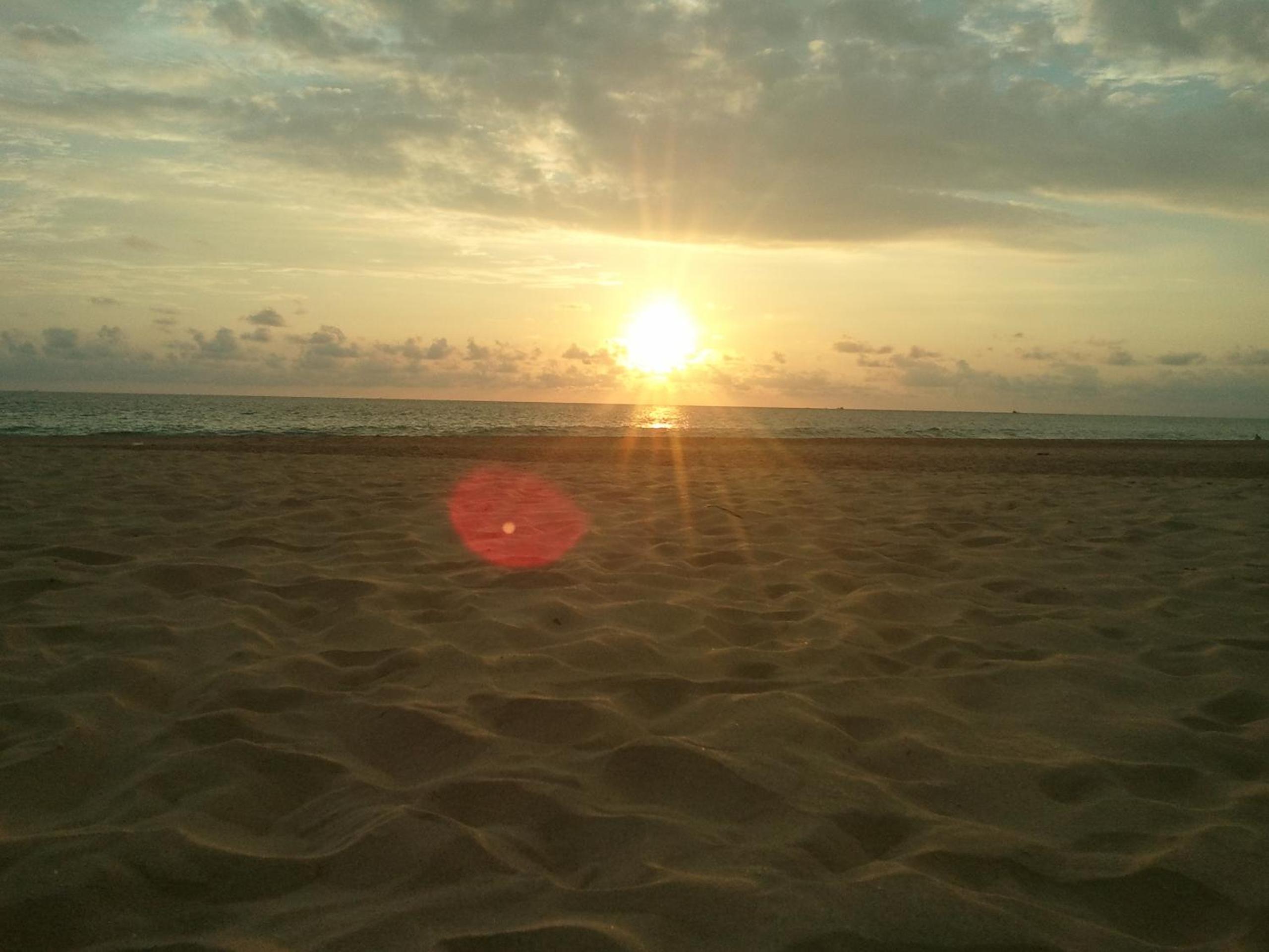 Photo 42