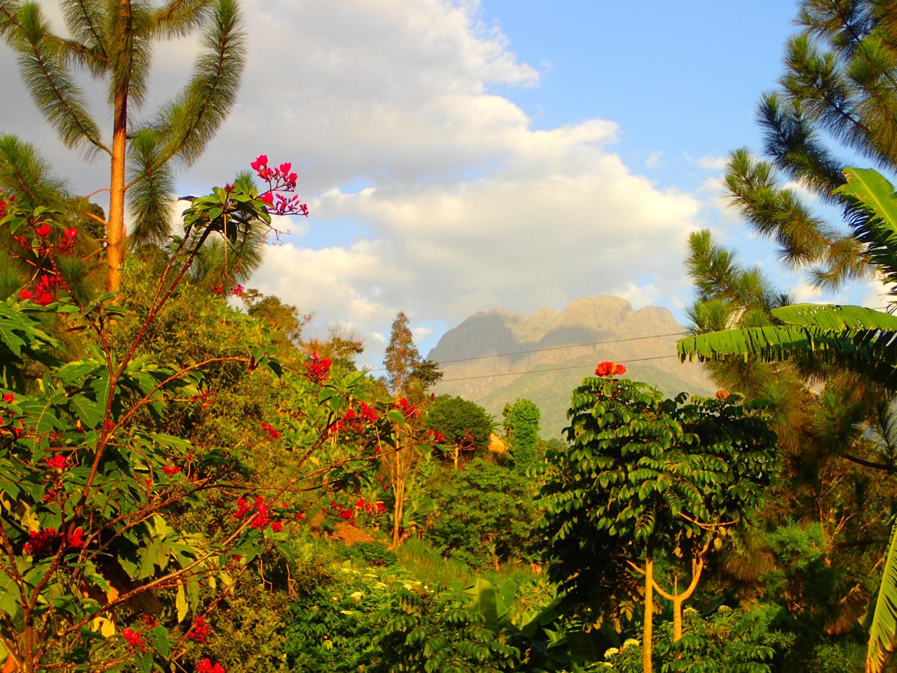 Summit Guesthouse