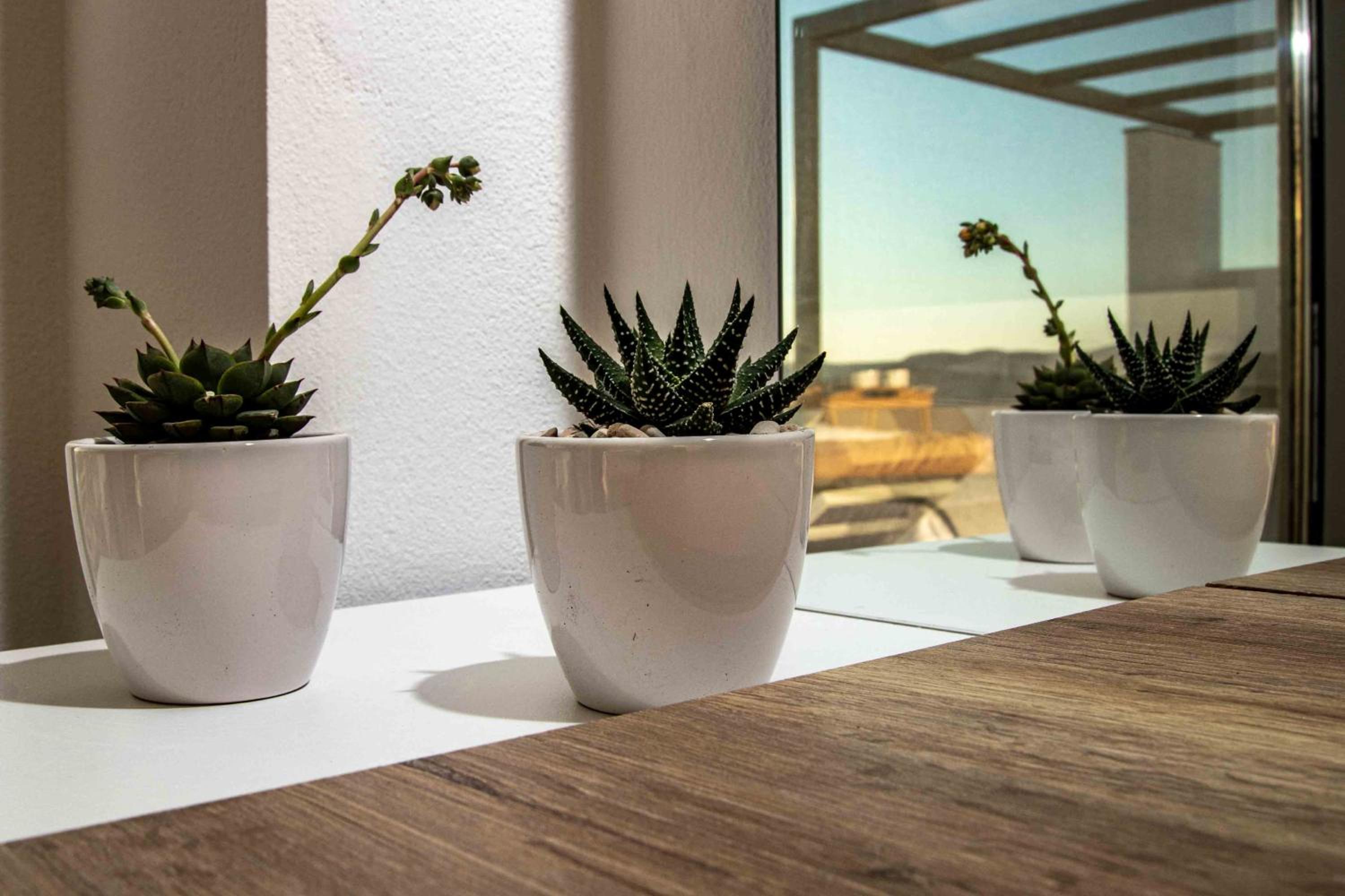 Crete Villa Paseathea, Luxurious Pool Getaway