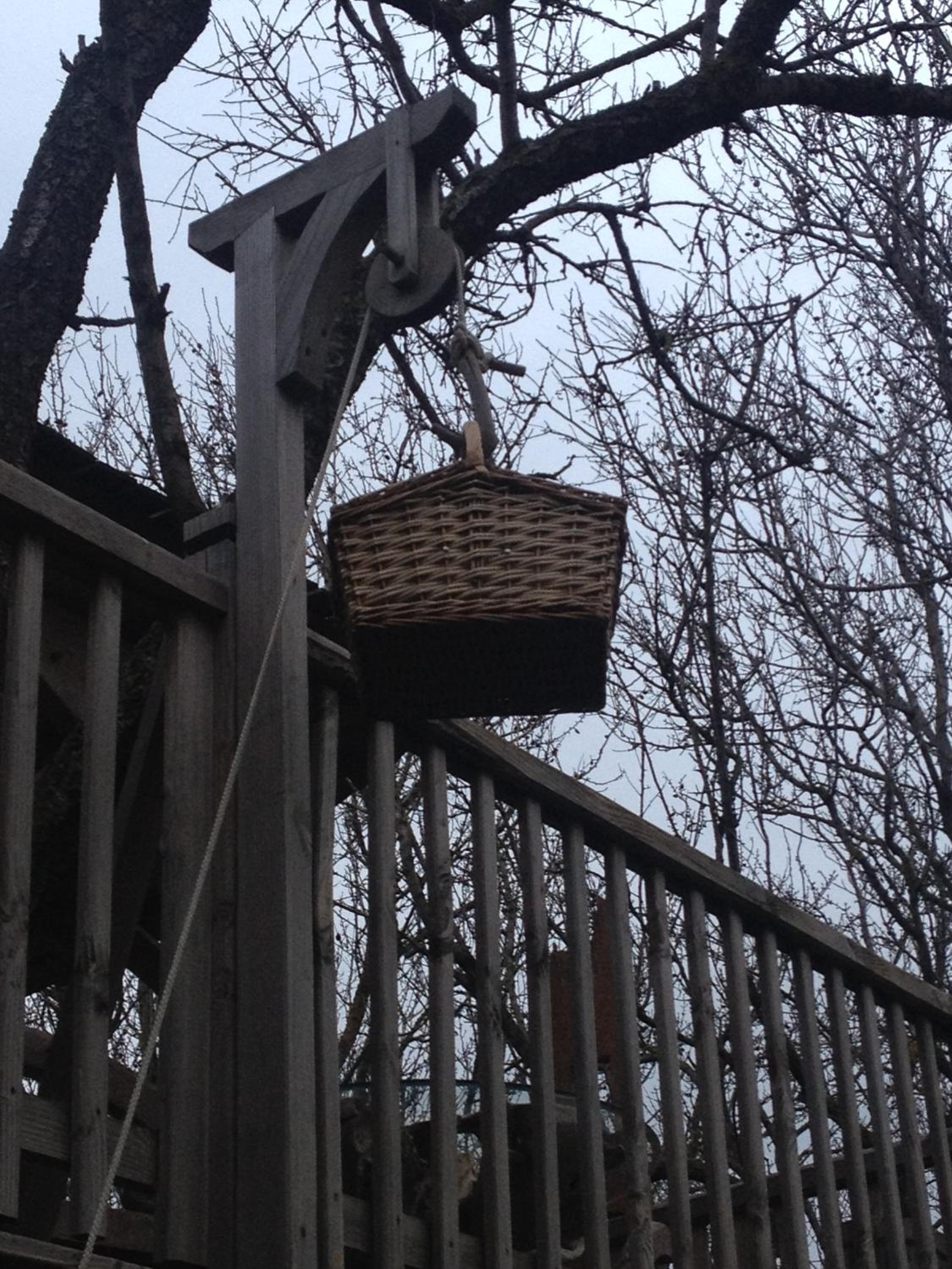 Photo 7