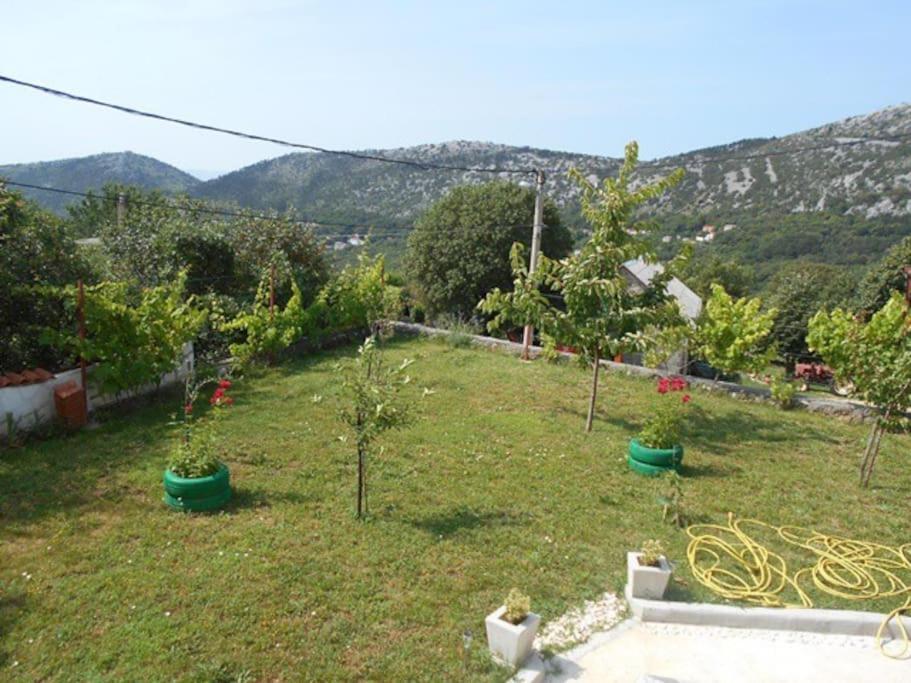 Photo 17