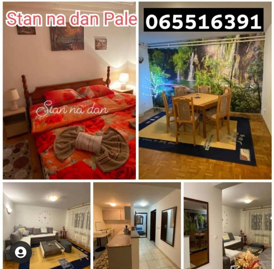 Apartman Radovic