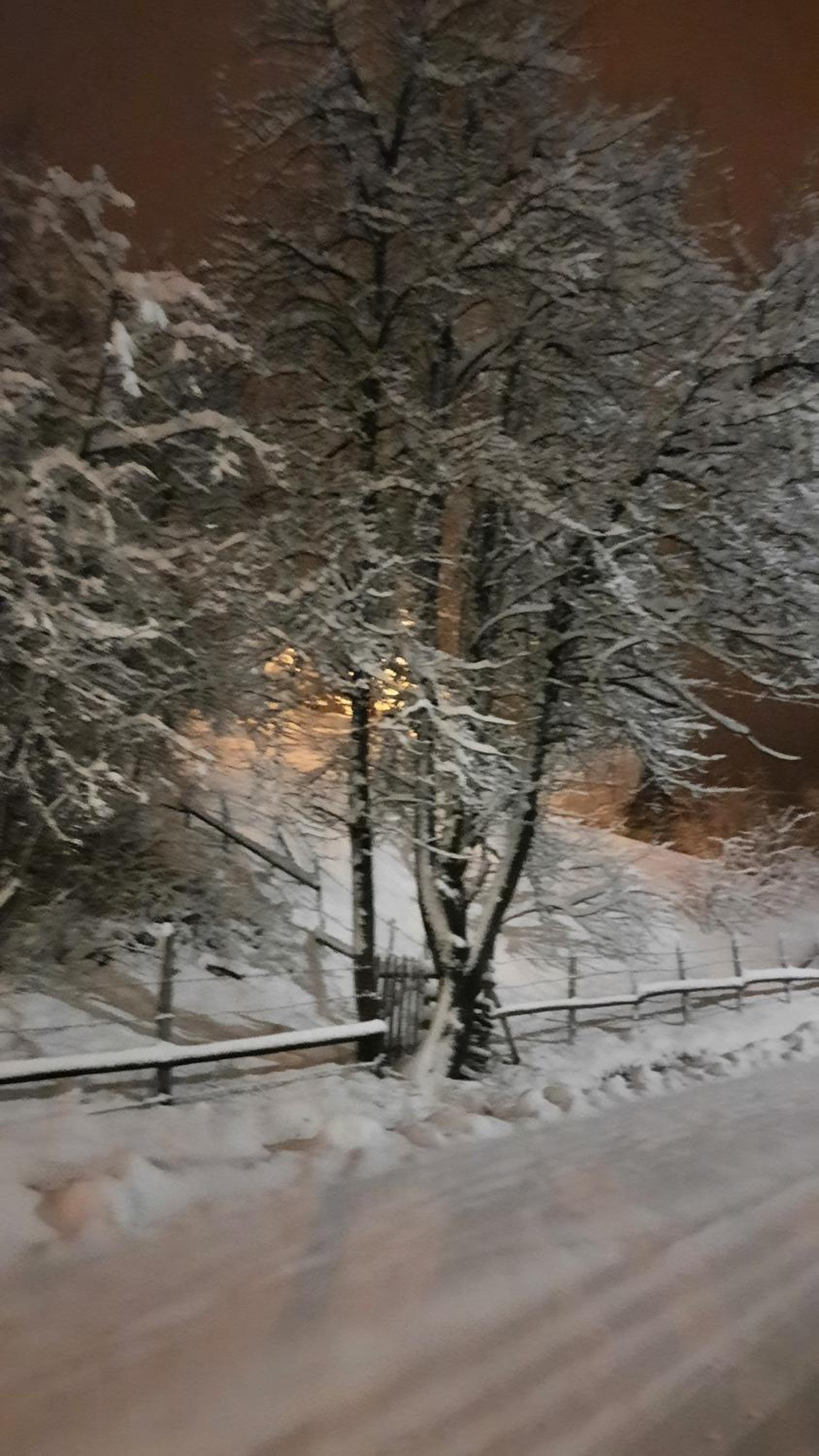 Apartman Radovic
