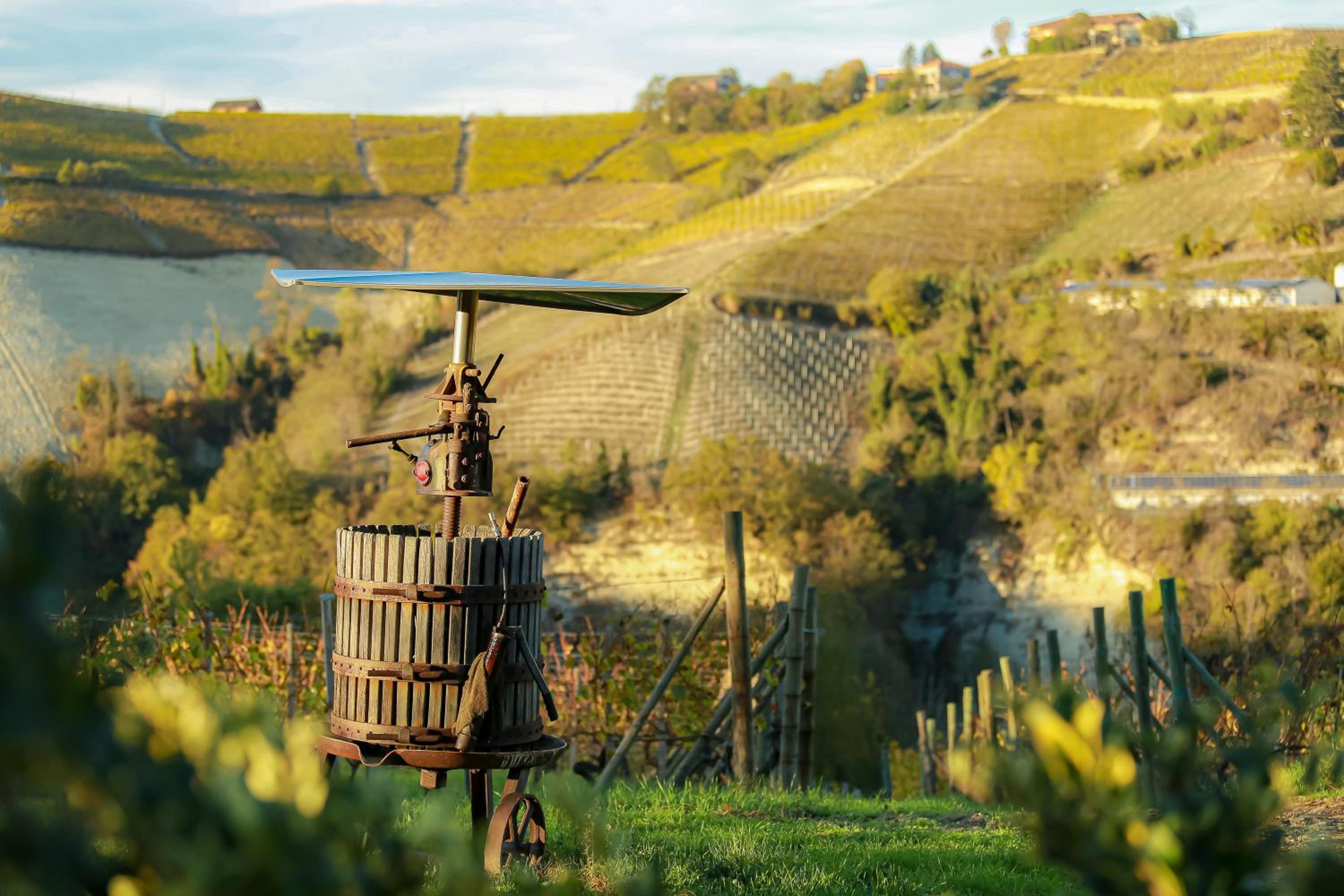 Cadgal - Tenuta Valdivilla view 4