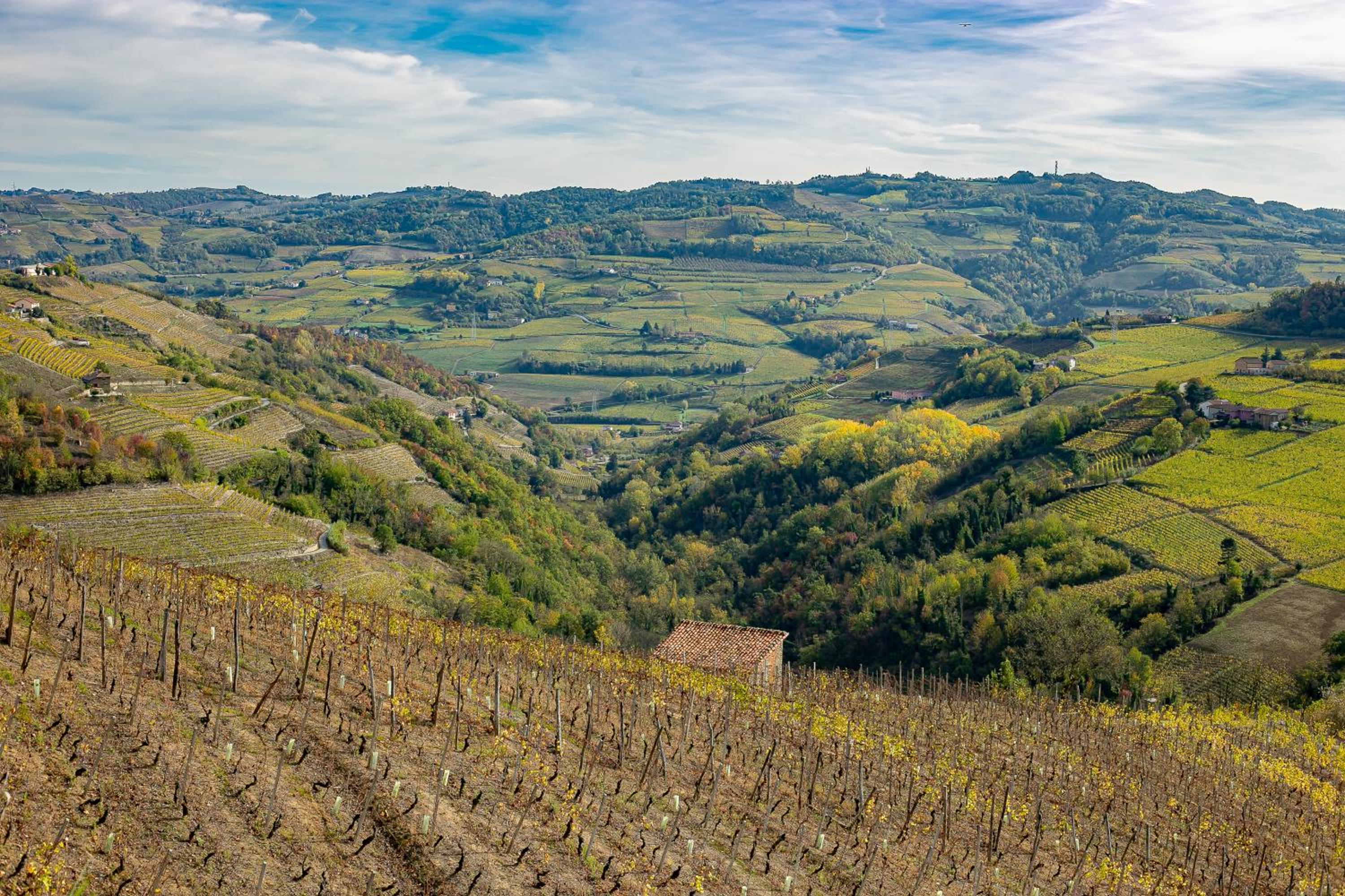 Cadgal - Tenuta Valdivilla view 5