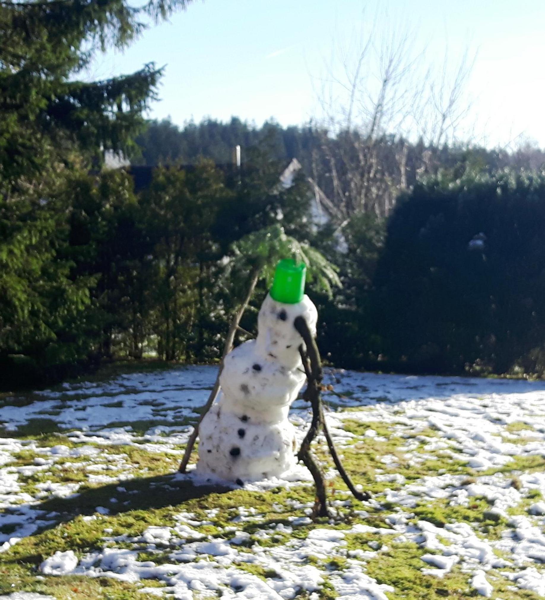 Waldhaus Hahnenklee