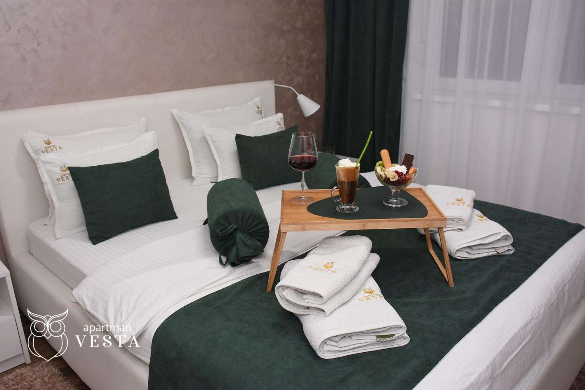VESTA Apartman view 5