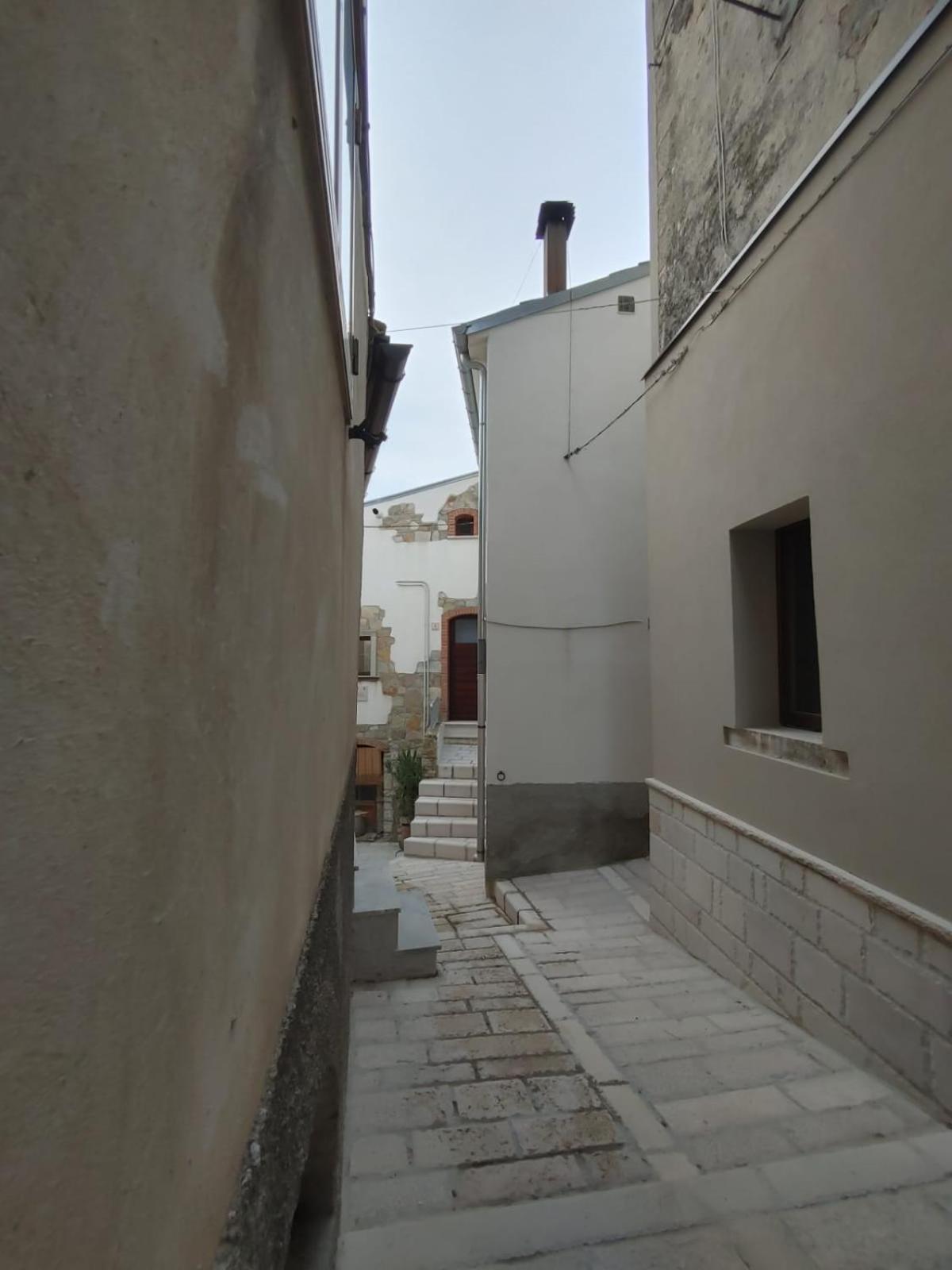 Photo 38