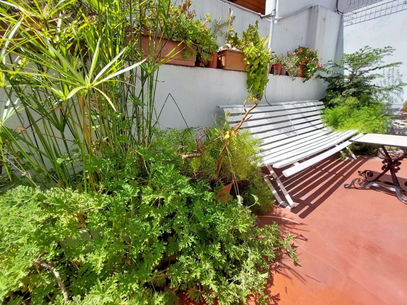 Hotel Casa Boutique Buenos Aires (traslado Gratis Aeropuerto Ezeiza)