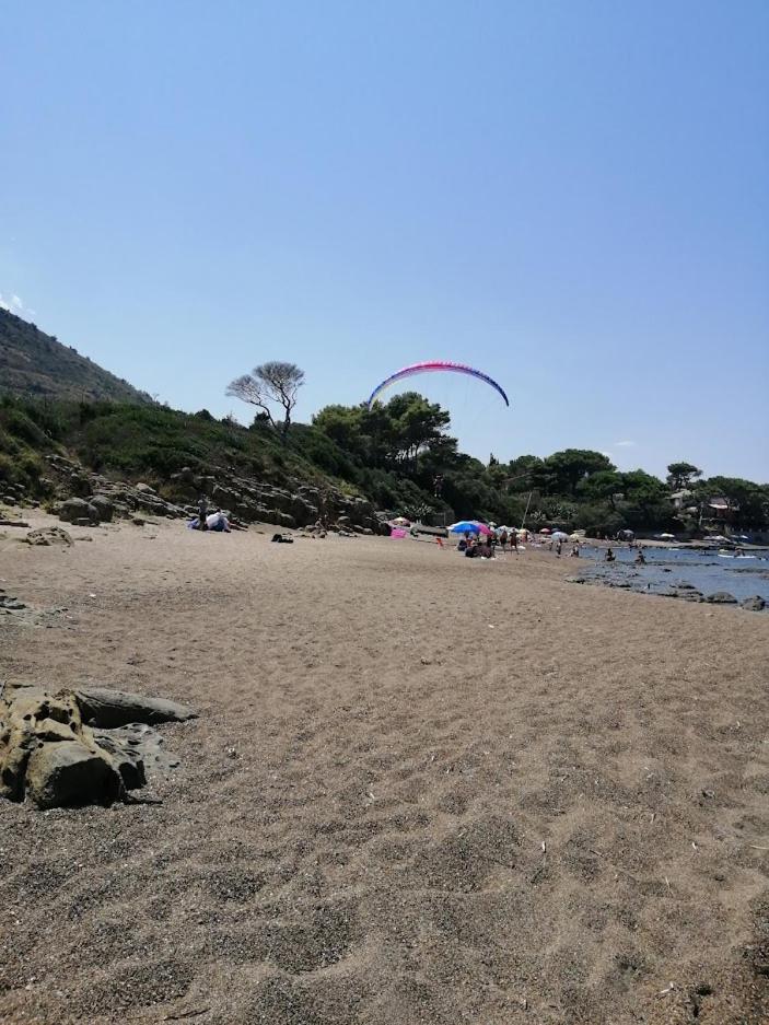 Photo 44