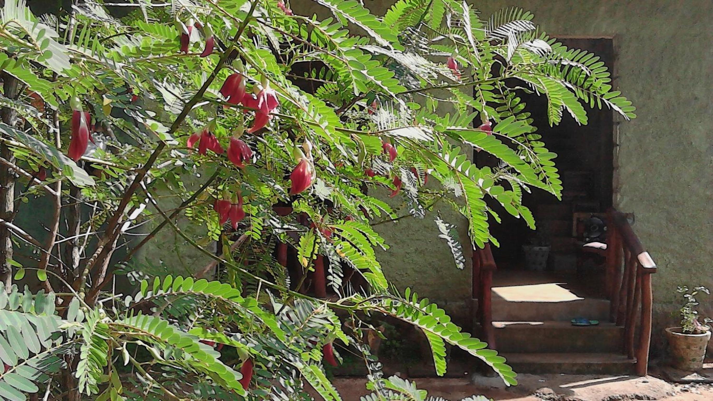 Sigiriya Vee Guest