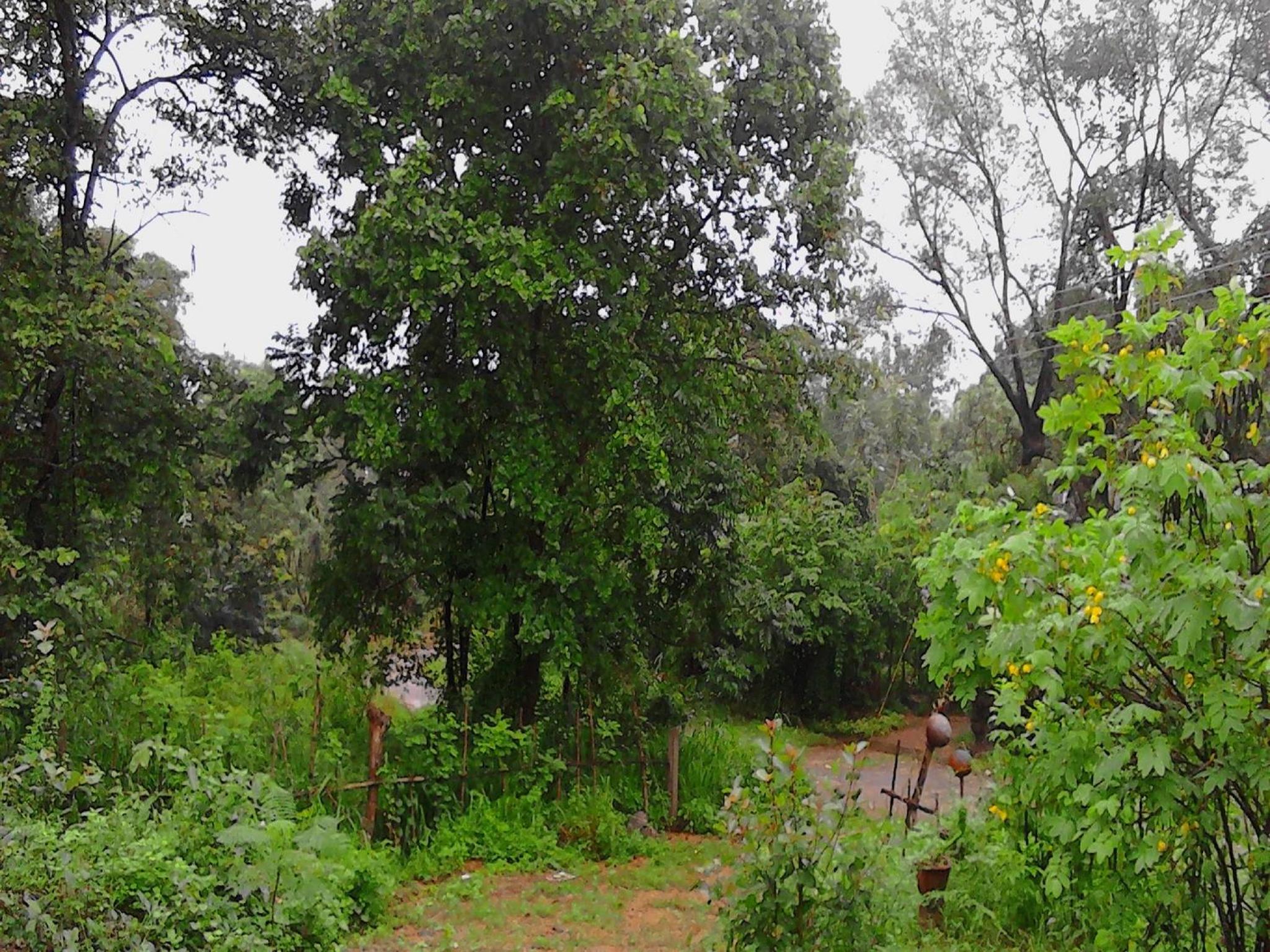 Sigiriya Vee Guest