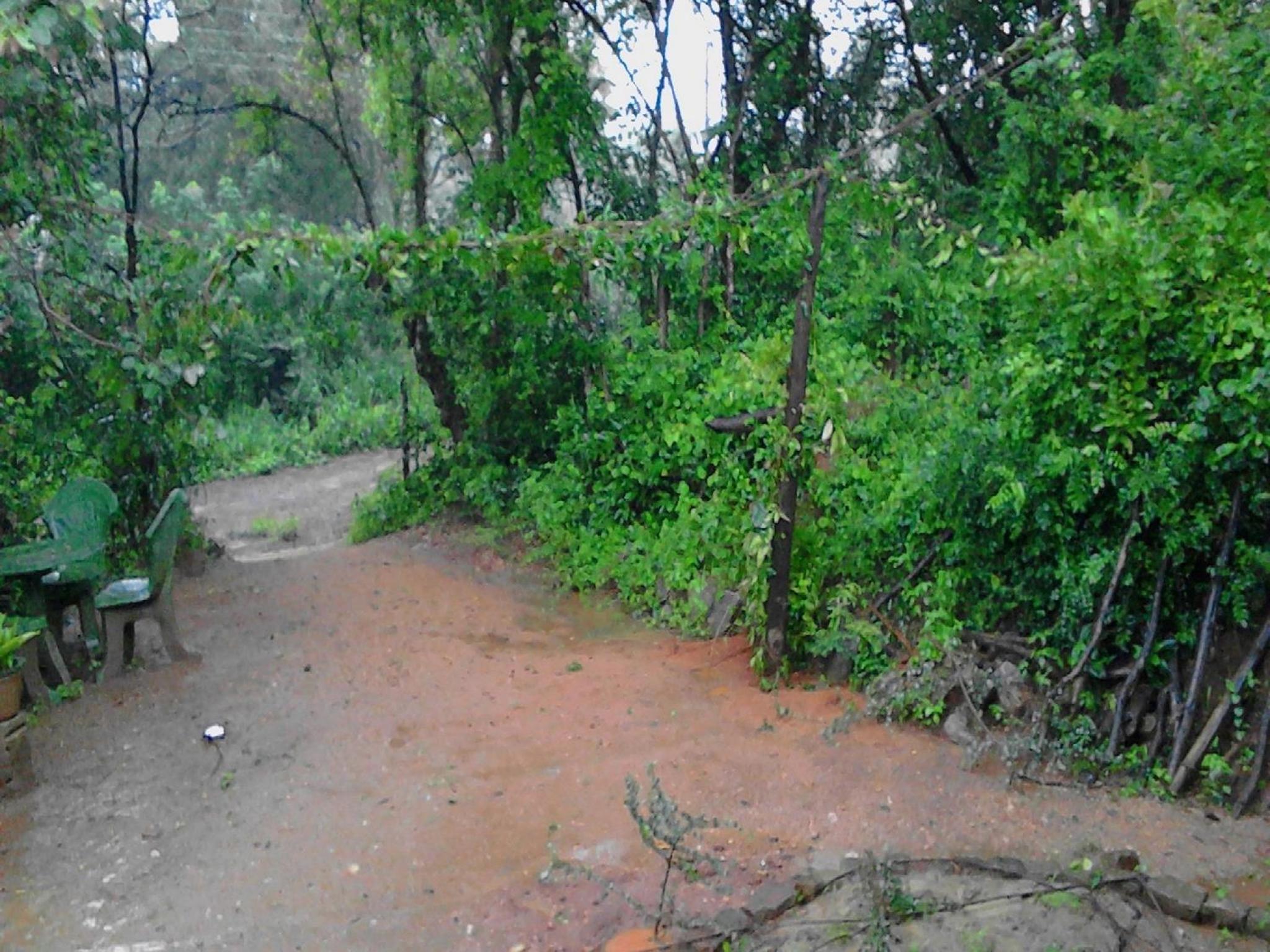 Sigiriya Vee Guest