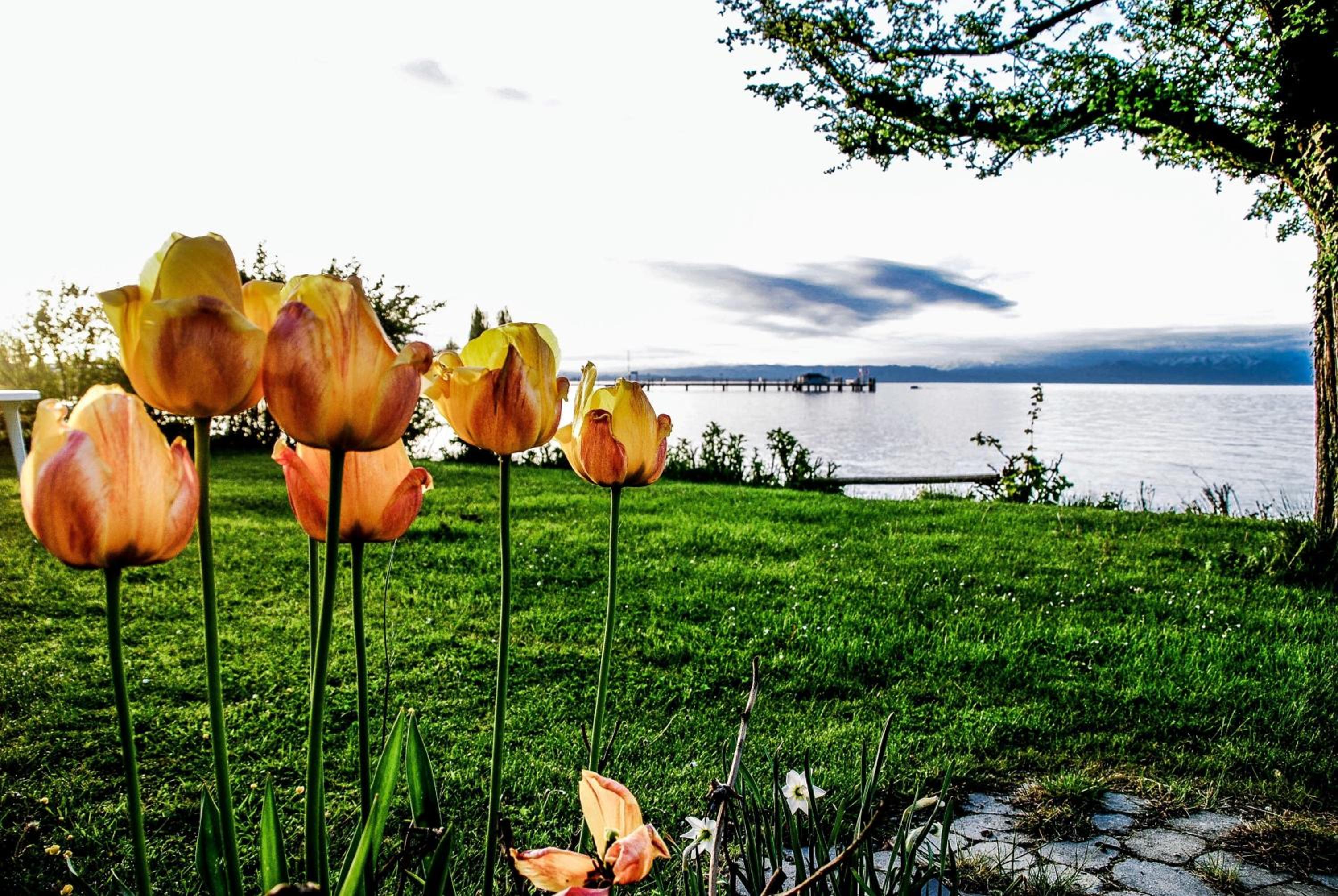 Birkhofer See genießen - Aparthotel am Bodensee
